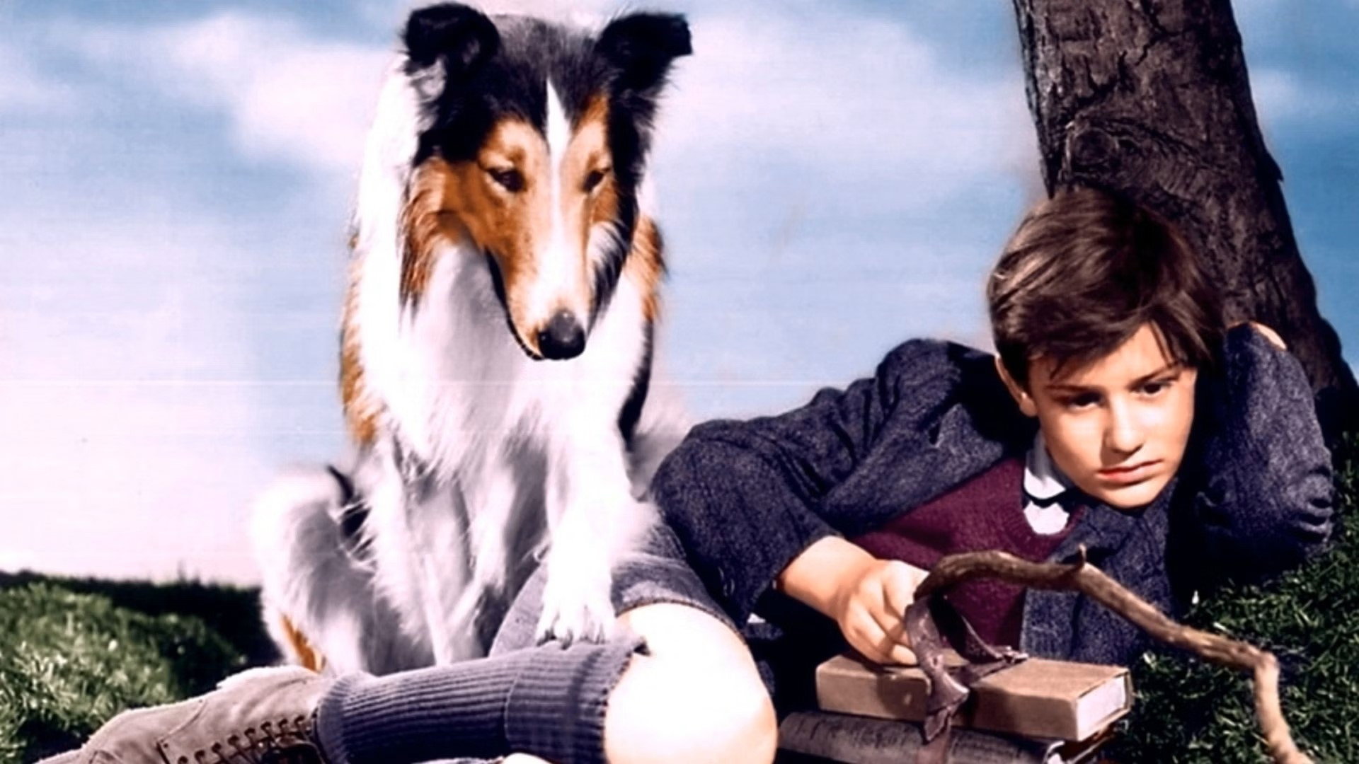 Lassie Come Home scene photo