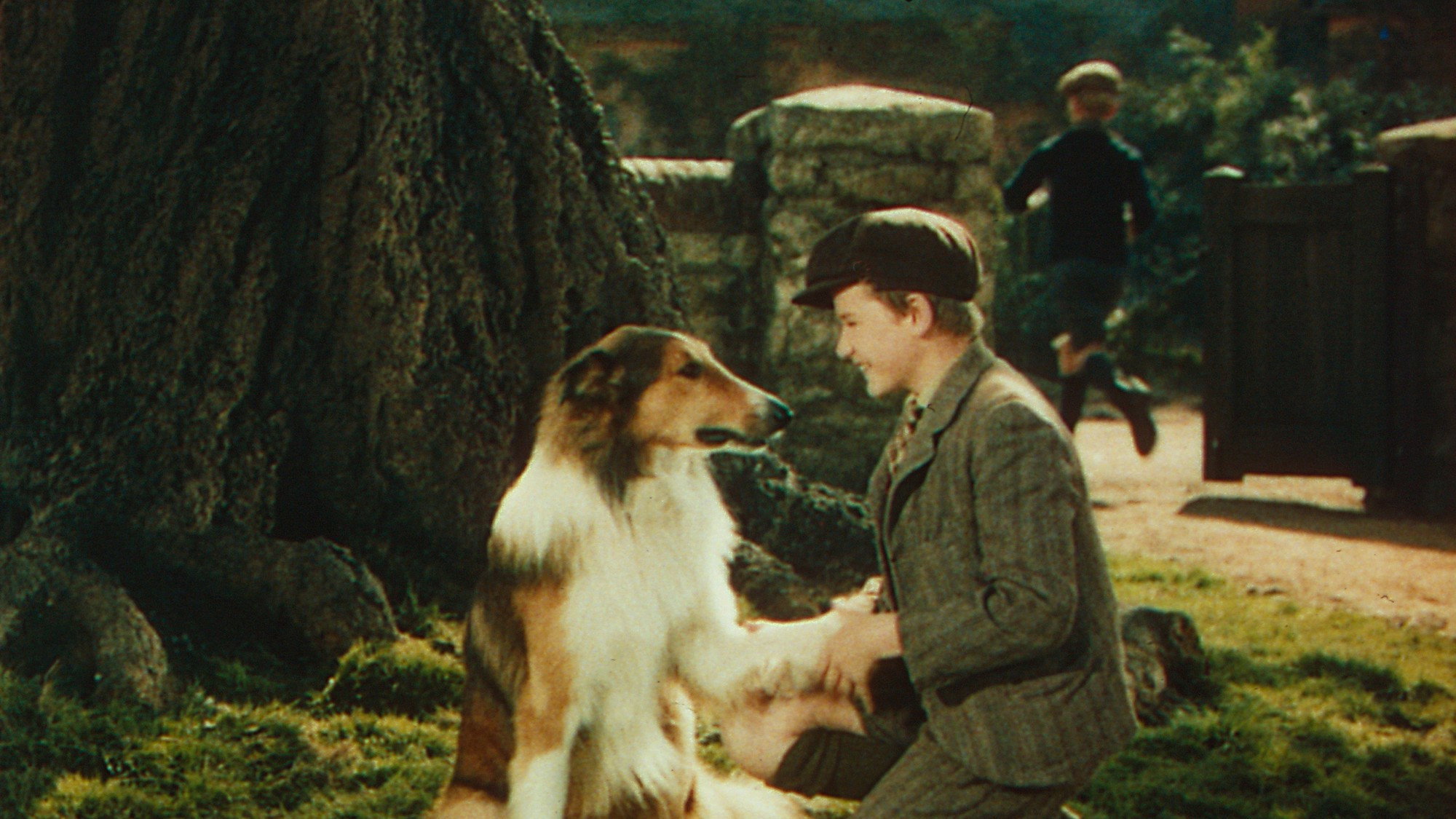 Lassie Come Home scene photo