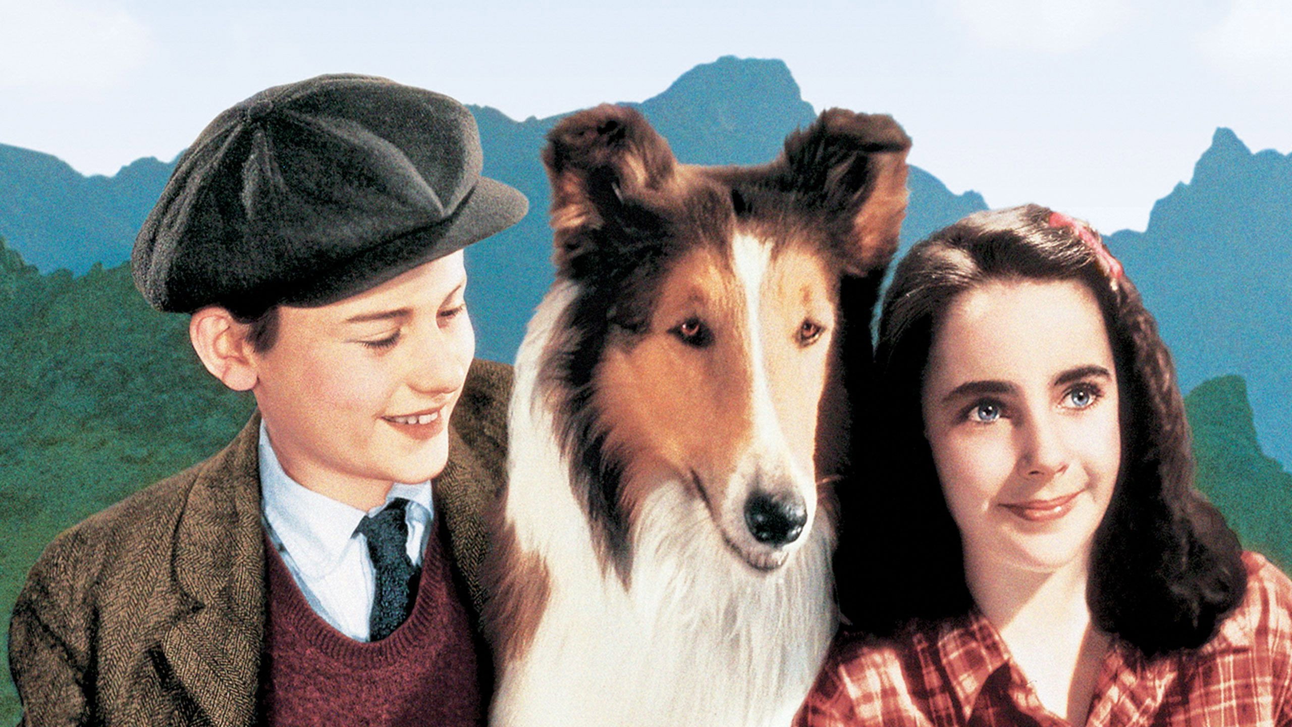 Lassie Come Home scene photo