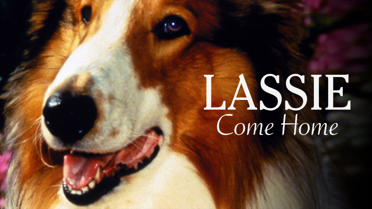 Lassie Come Home scene photo