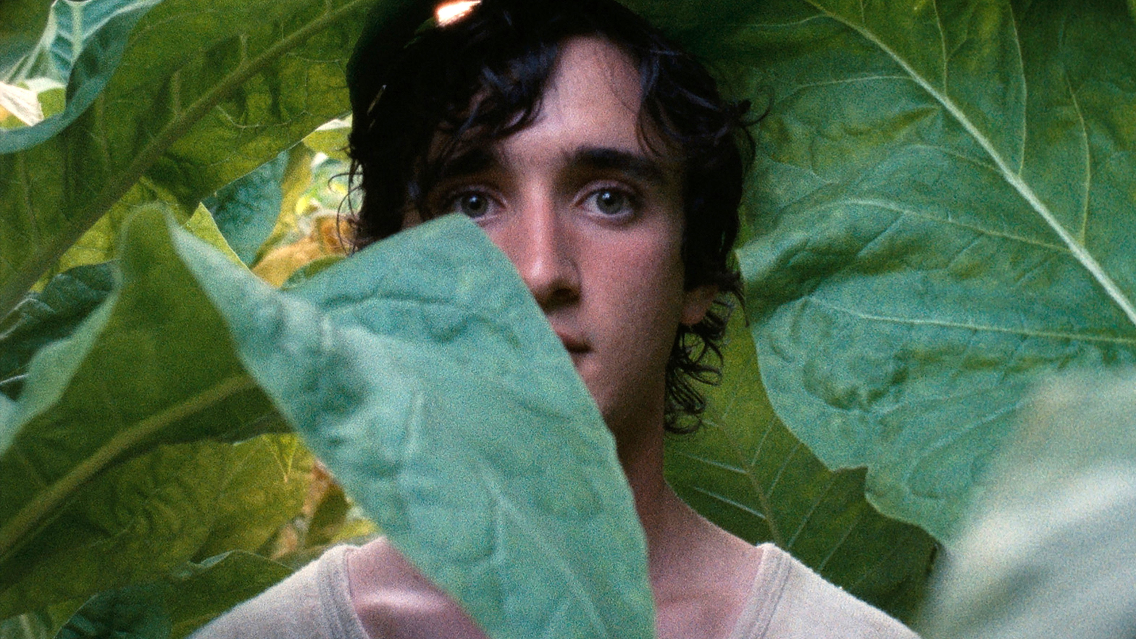 Lazzaro felice scene photo