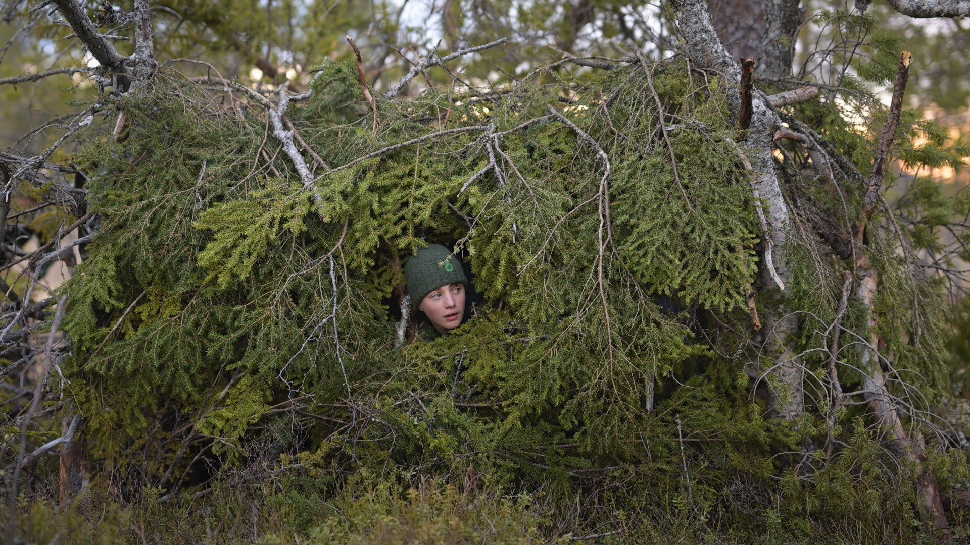 Le chant des forêts scene photo