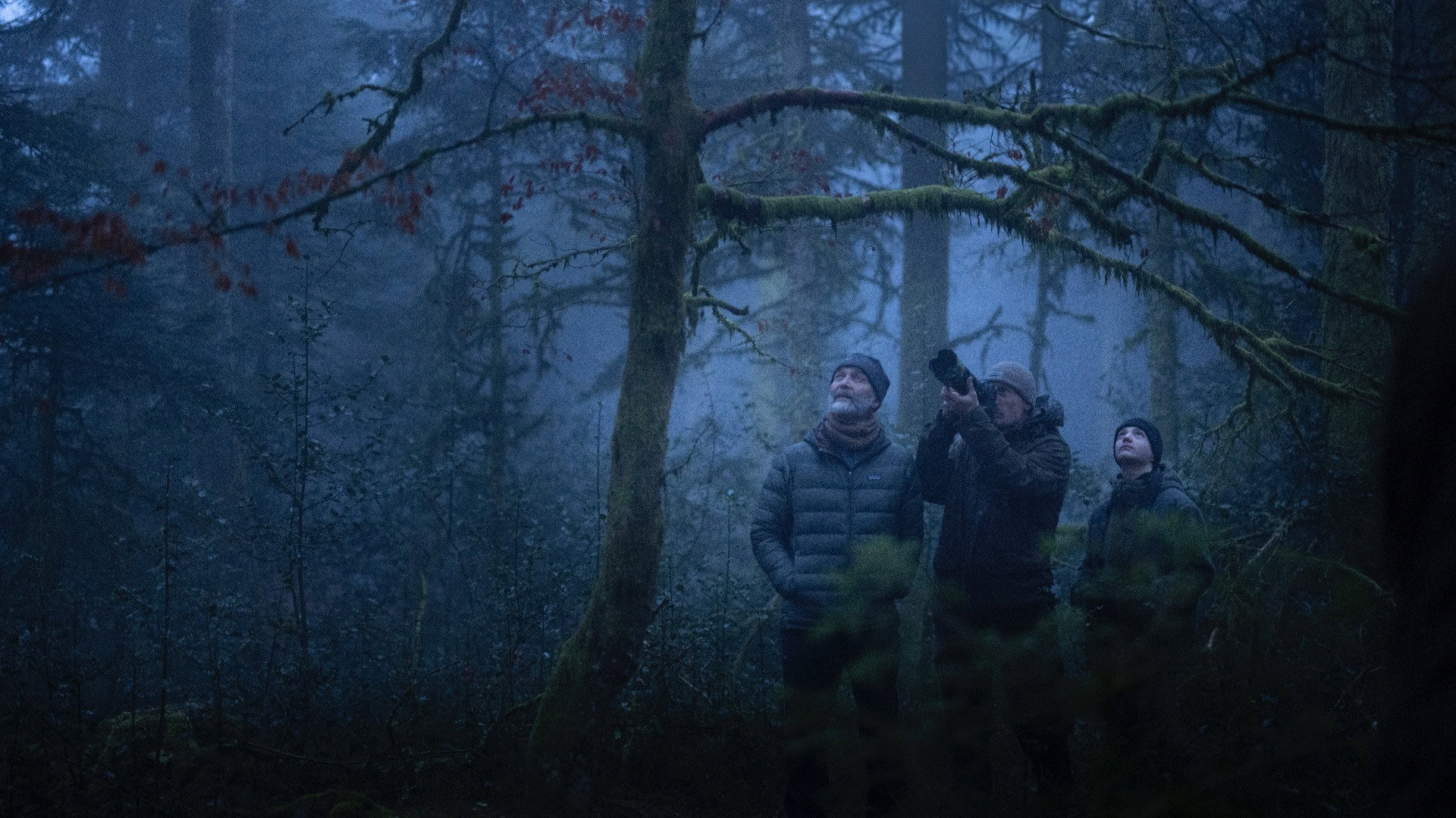 Le chant des forêts scene photo