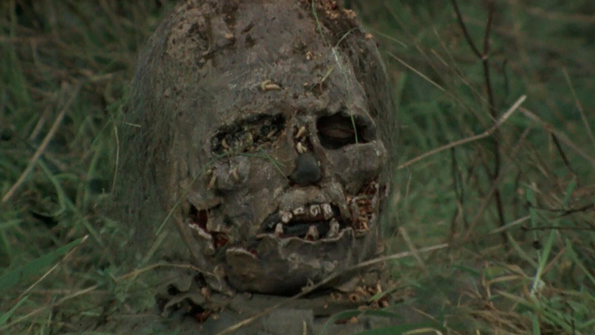 Le notti del terrore scene photo