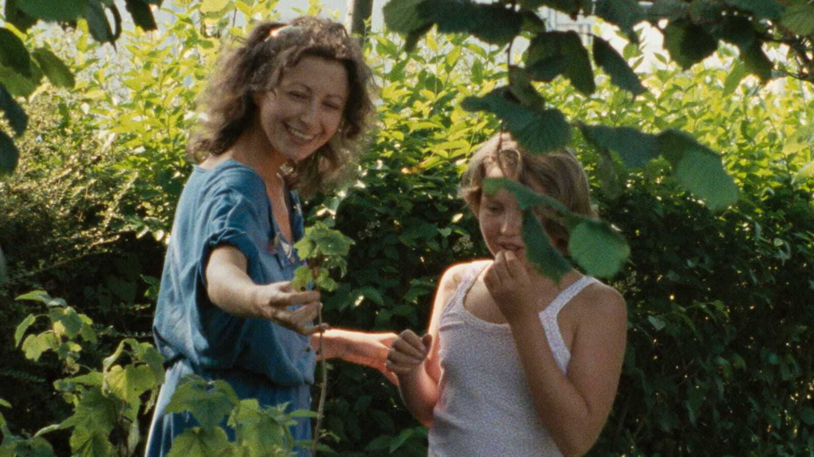 Le Rayon vert scene photo