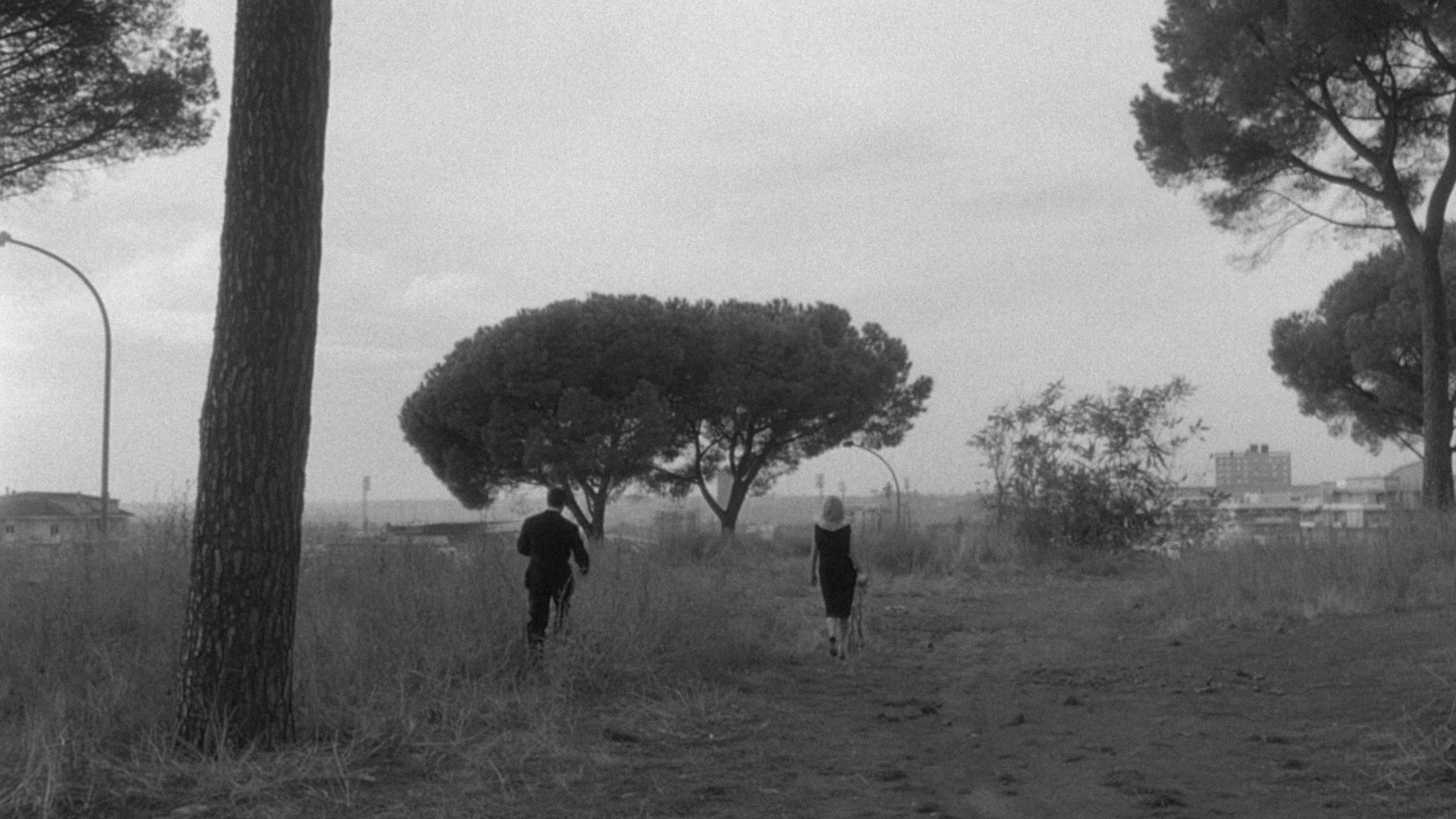 L'eclisse scene photo