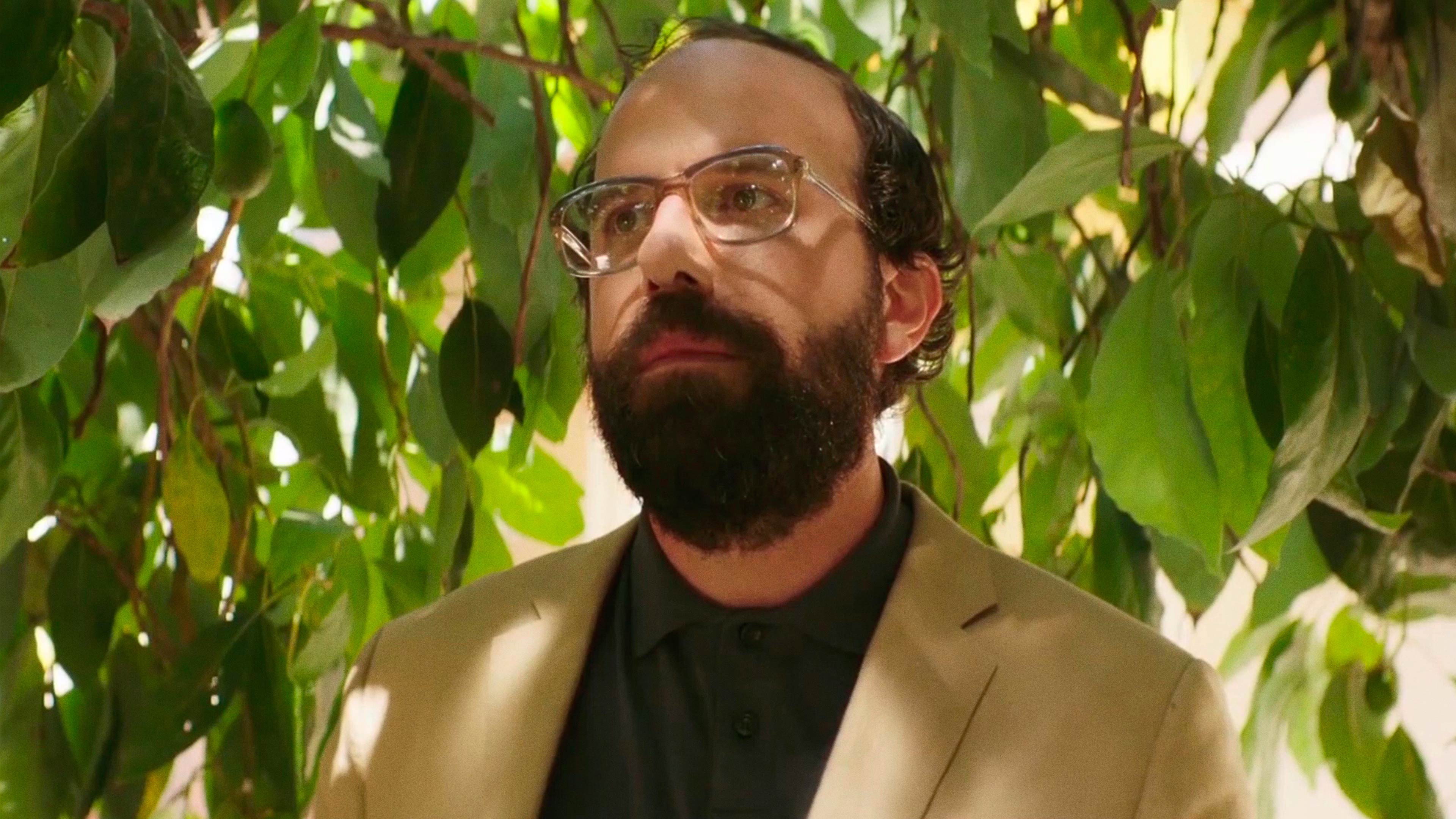 Lemon scene photo