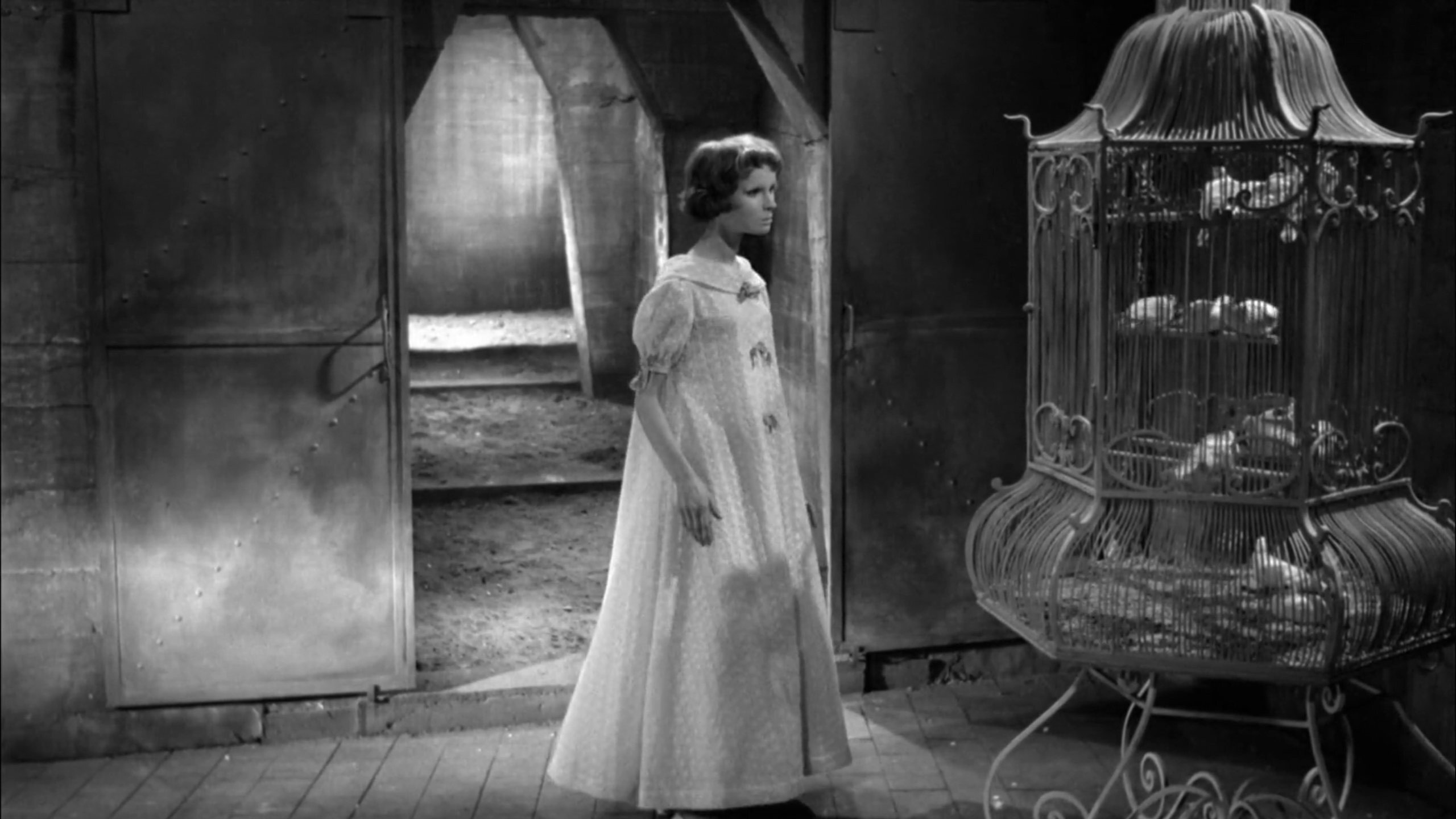 Les yeux sans visage scene photo