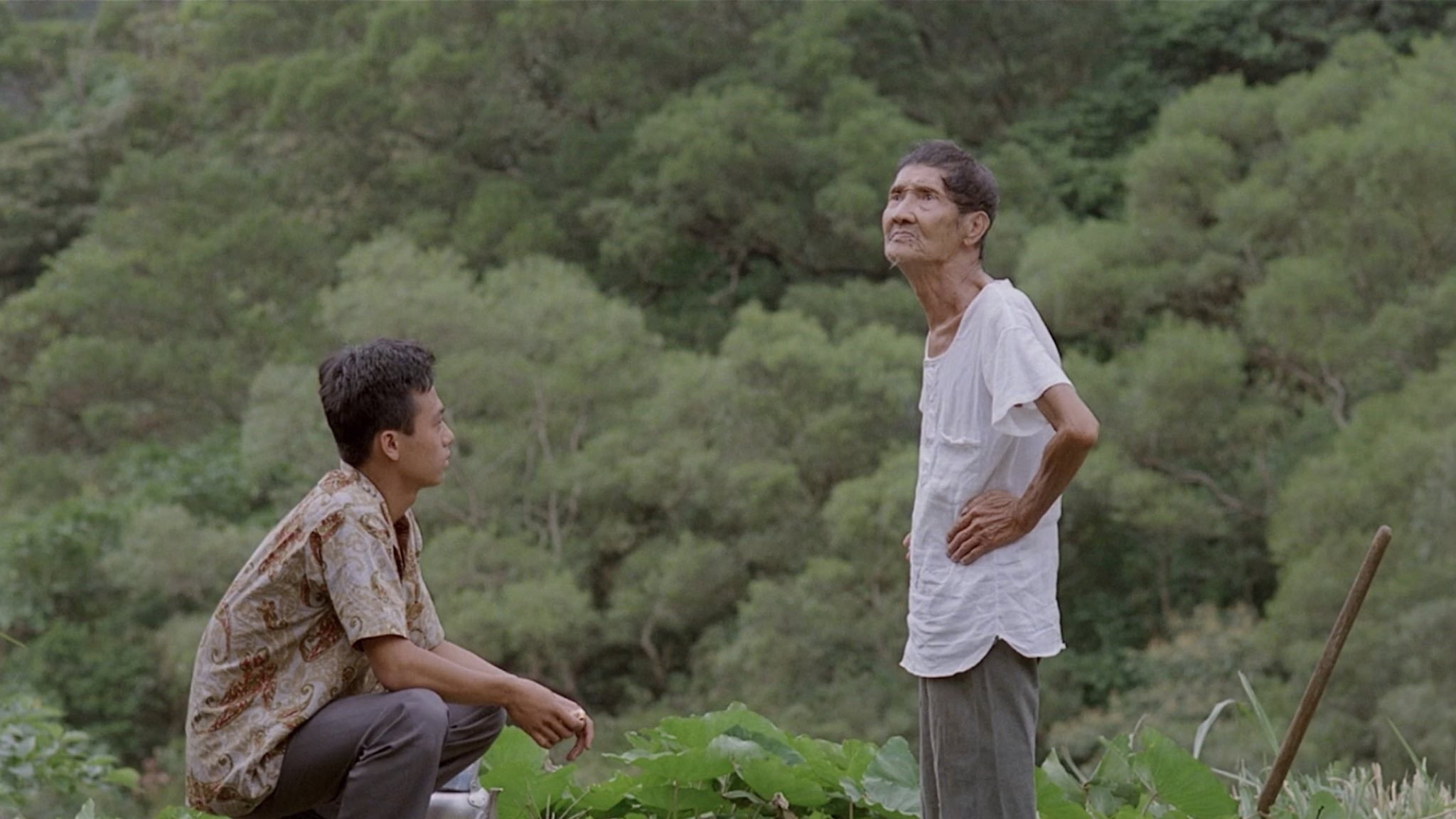 Liàn liàn fengchén scene photo