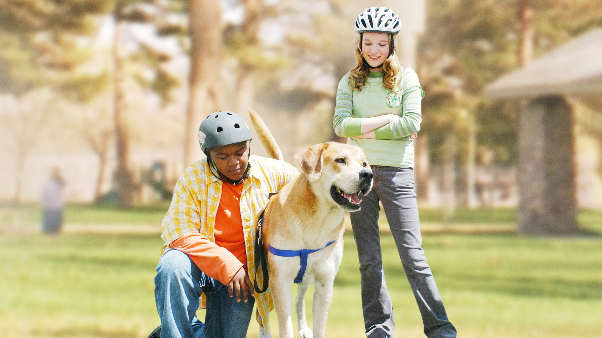 Life Is Ruff scene photo