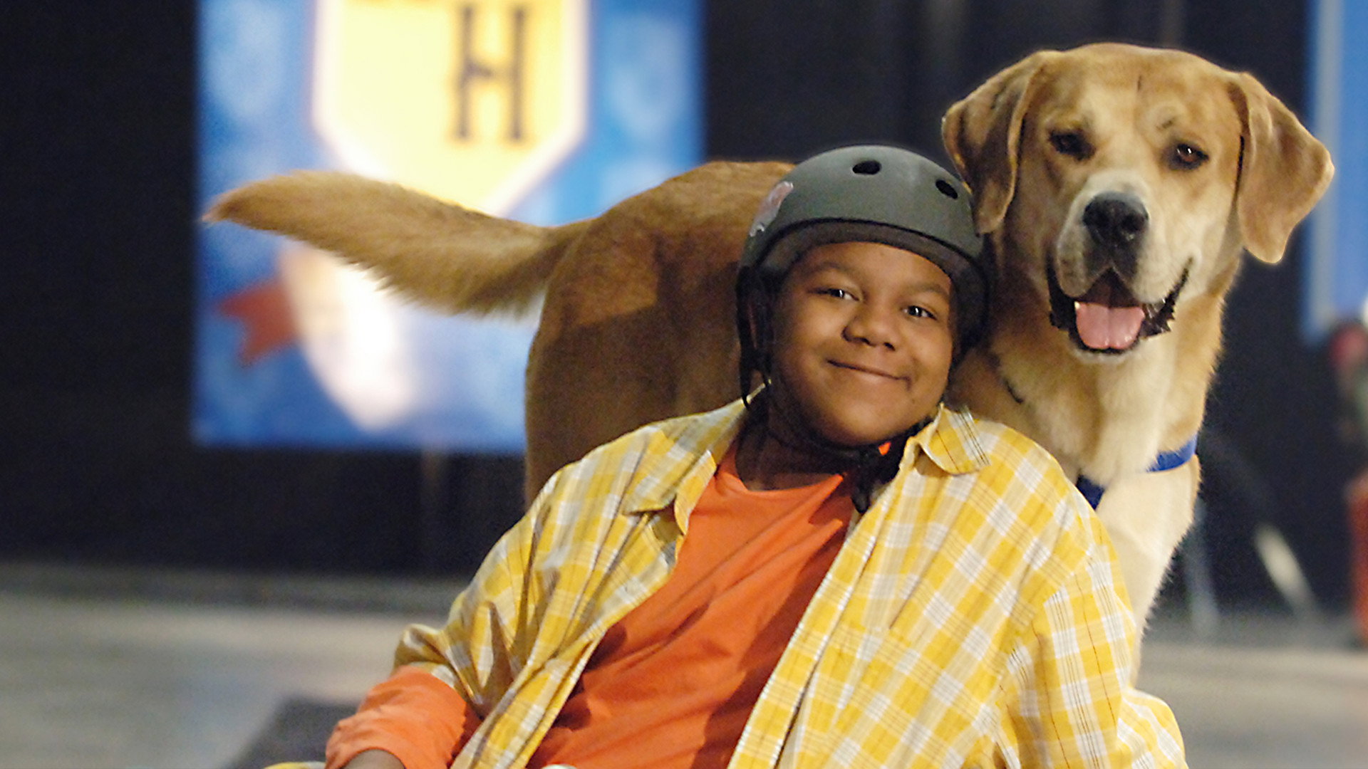 Life Is Ruff scene photo