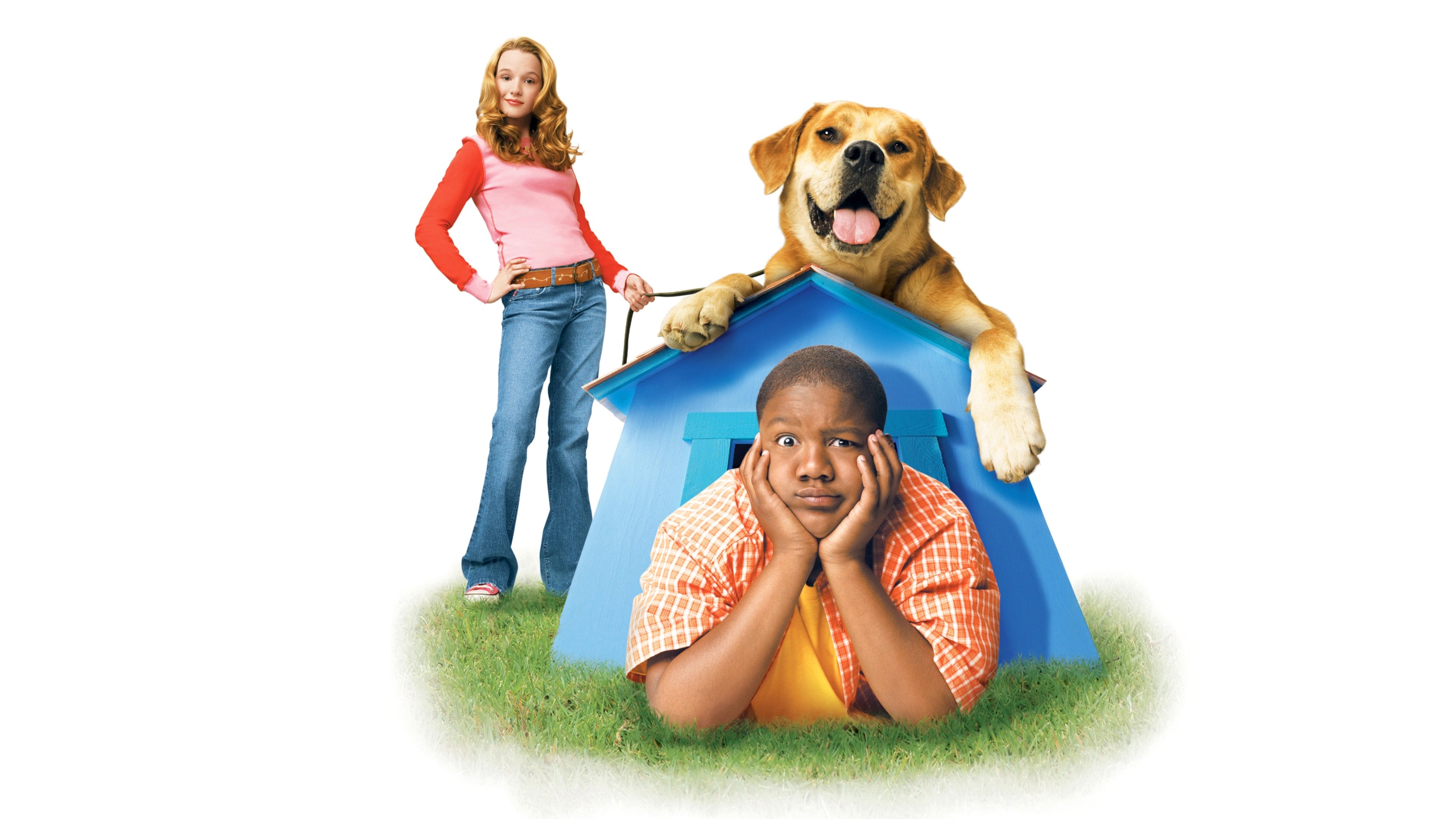 Life Is Ruff scene photo