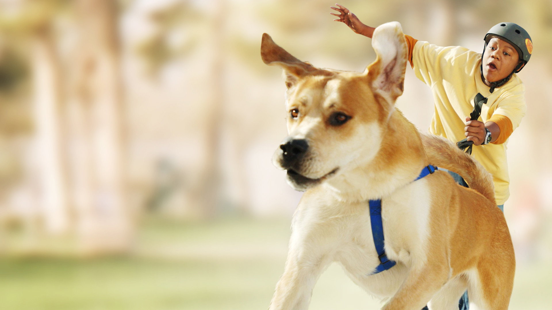 Life Is Ruff scene photo