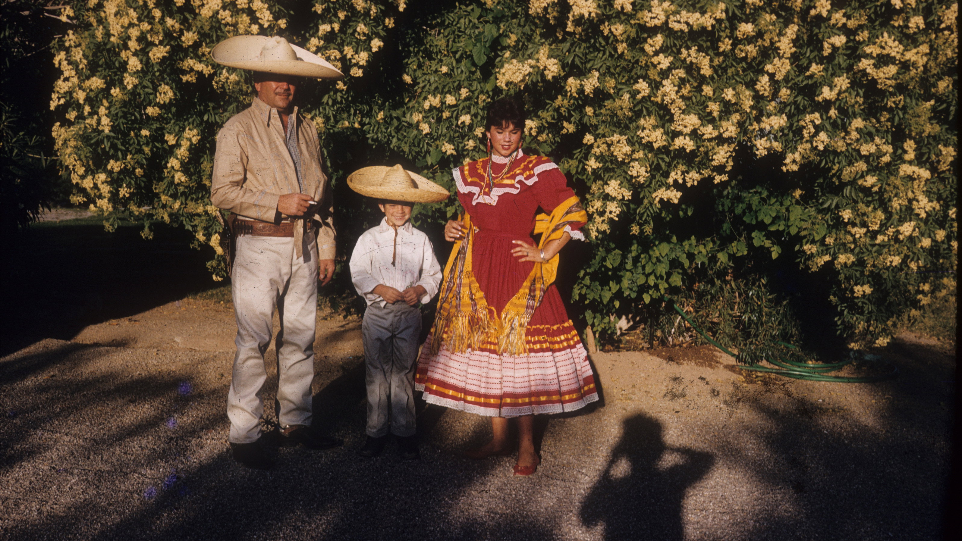 Linda Ronstadt: The Sound of My Voice scene photo