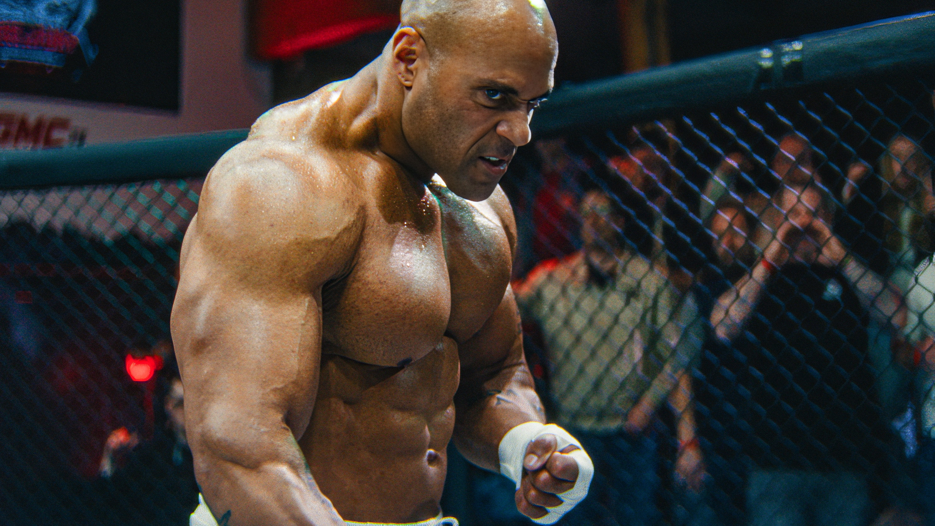 Lion Fist scene photo