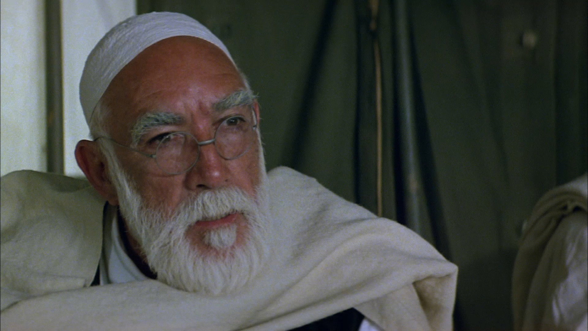 Lion of the Desert scene photo