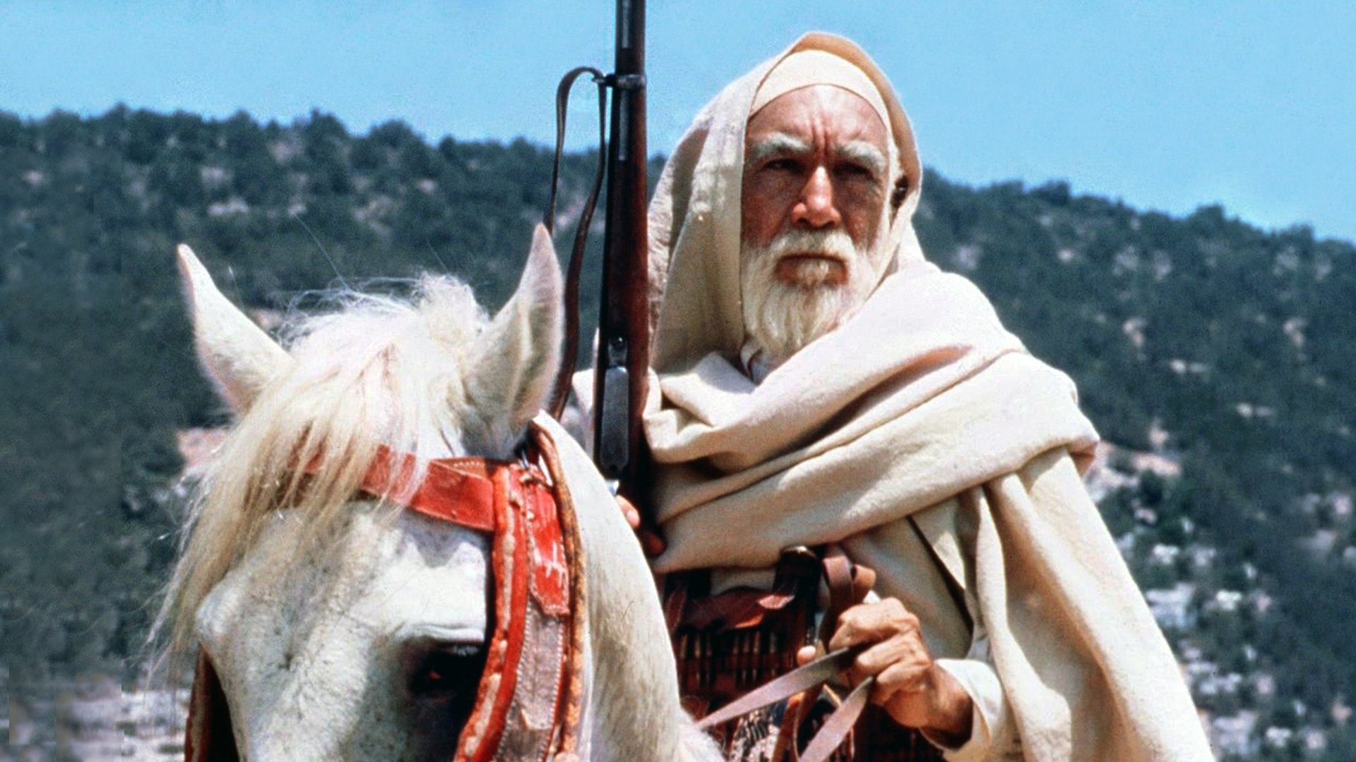 Lion of the Desert scene photo