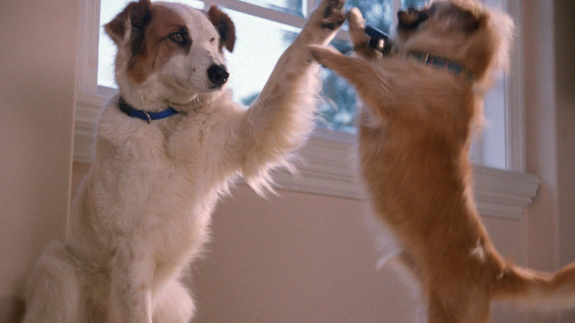 Little Heroes scene photo