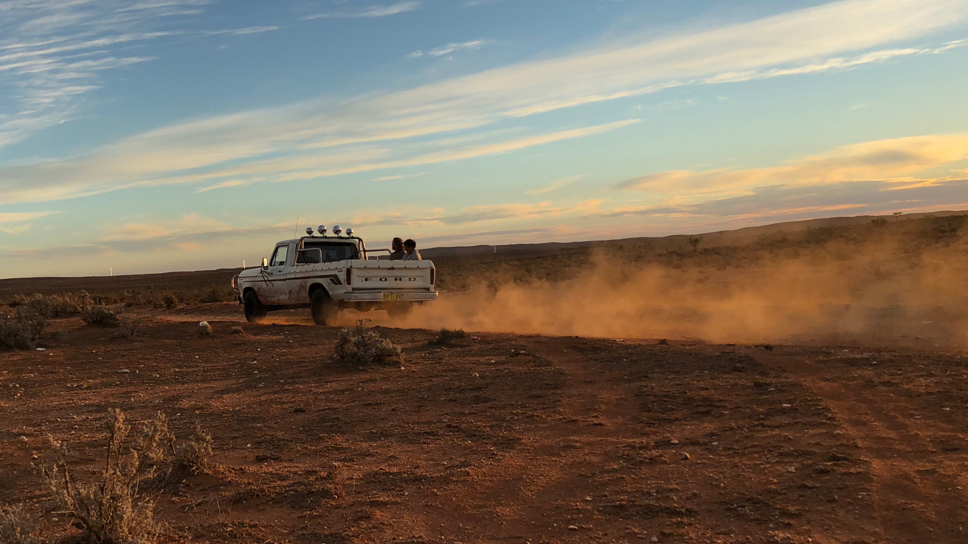Locusts scene photo