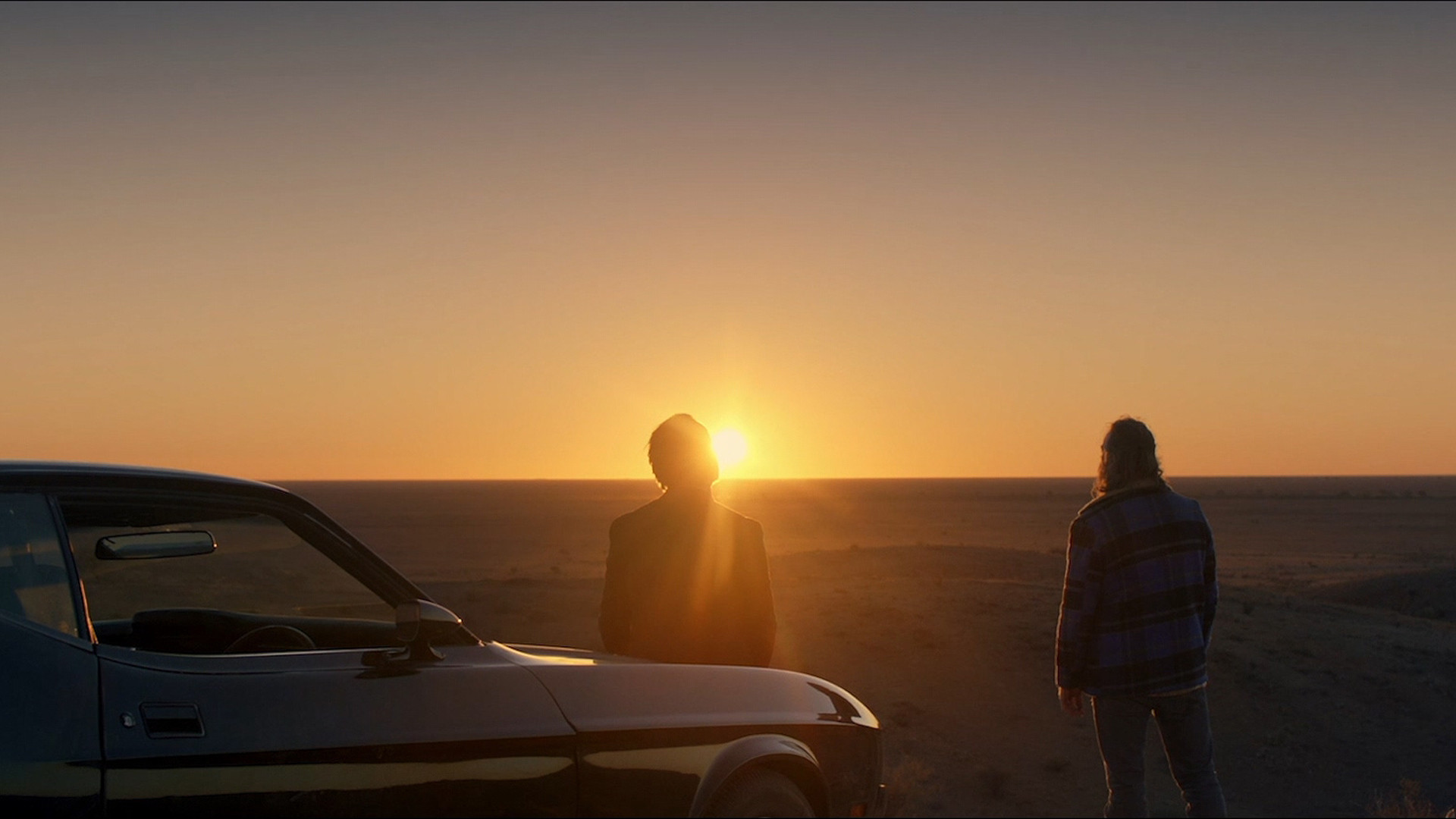 Locusts scene photo