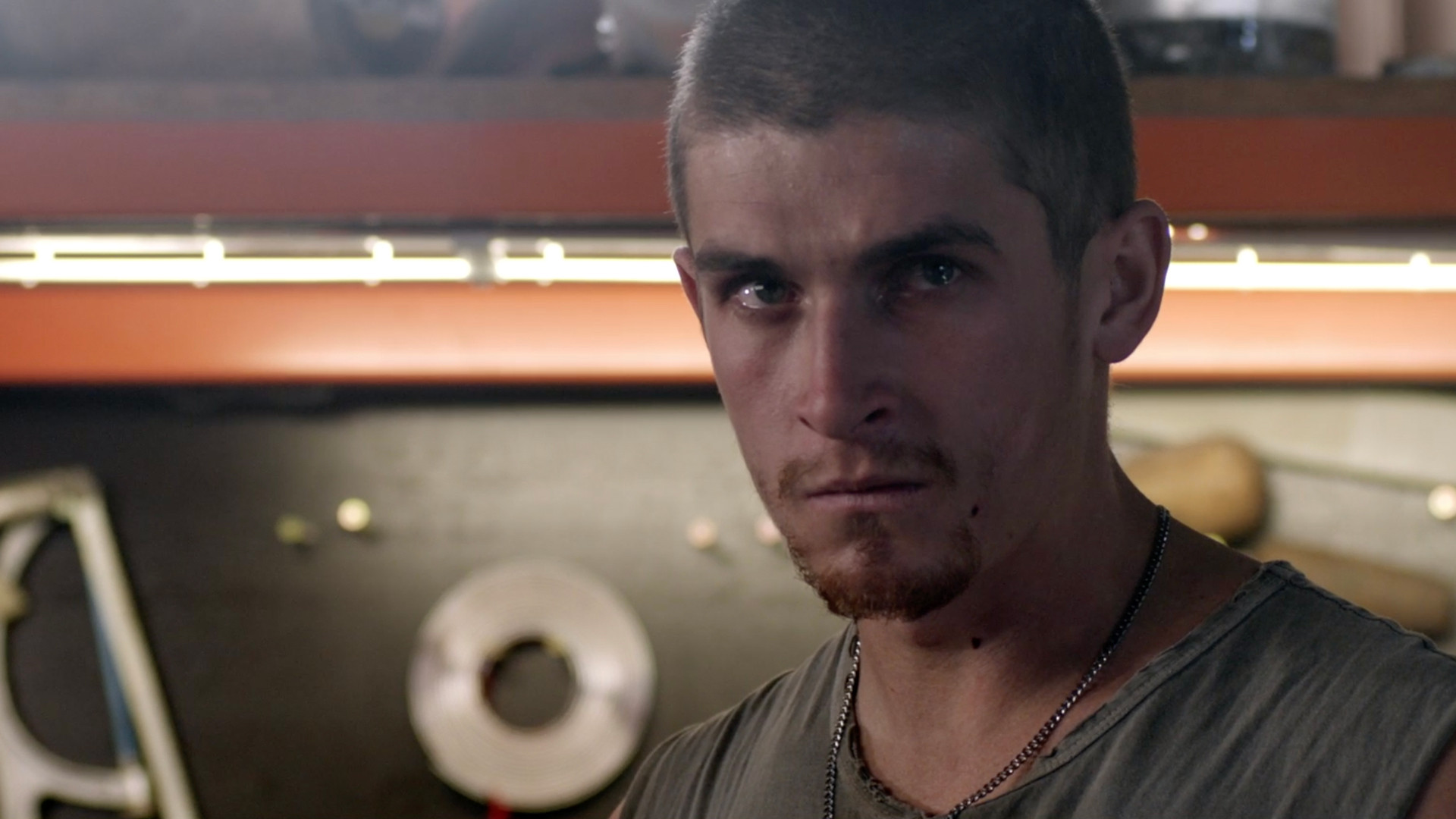 Locusts scene photo