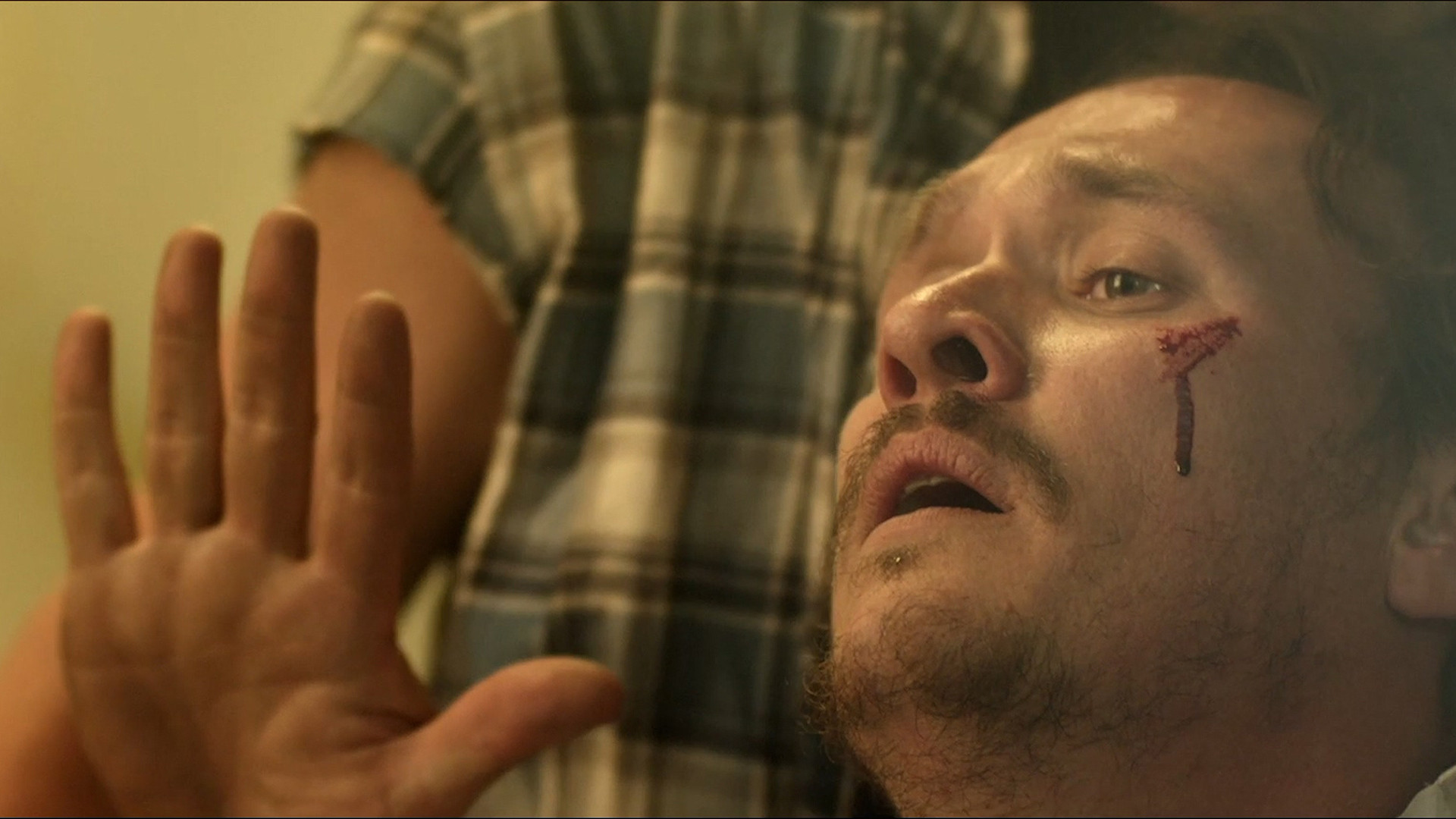 Locusts scene photo