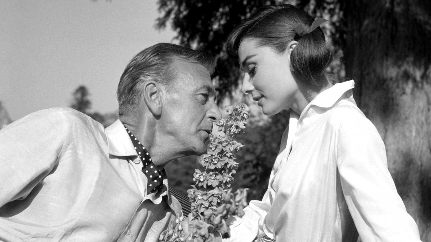 Love in the Afternoon scene photo
