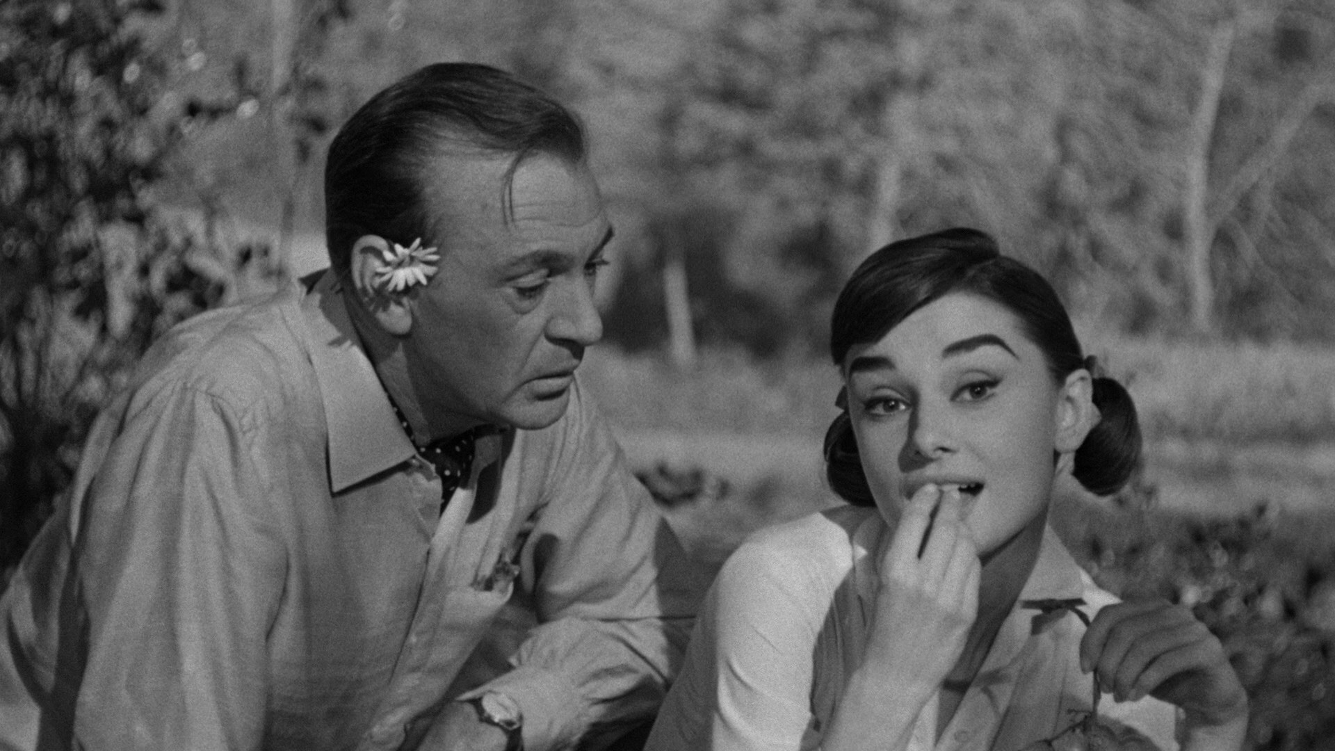 Love in the Afternoon scene photo