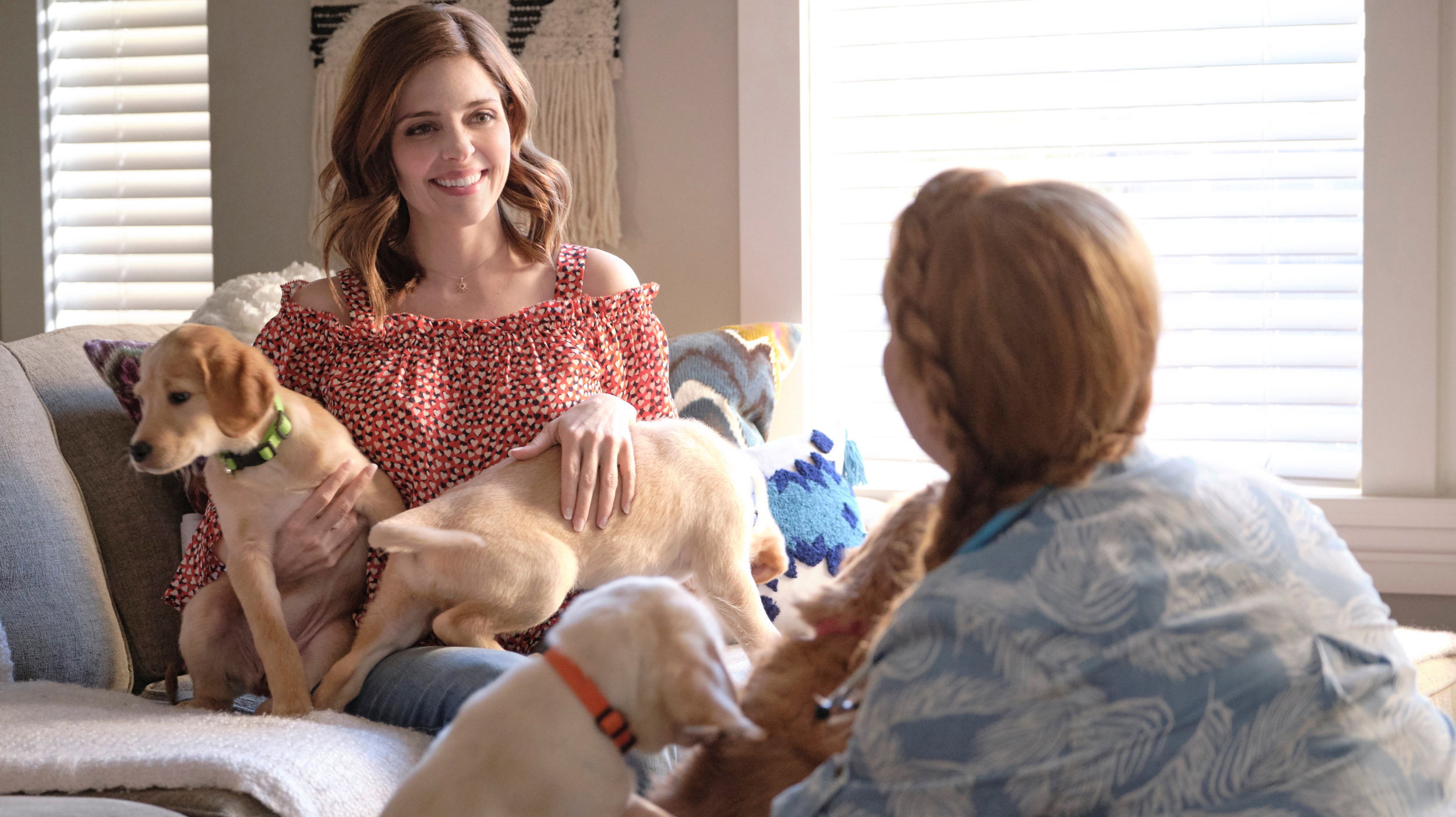 Love Unleashed scene photo