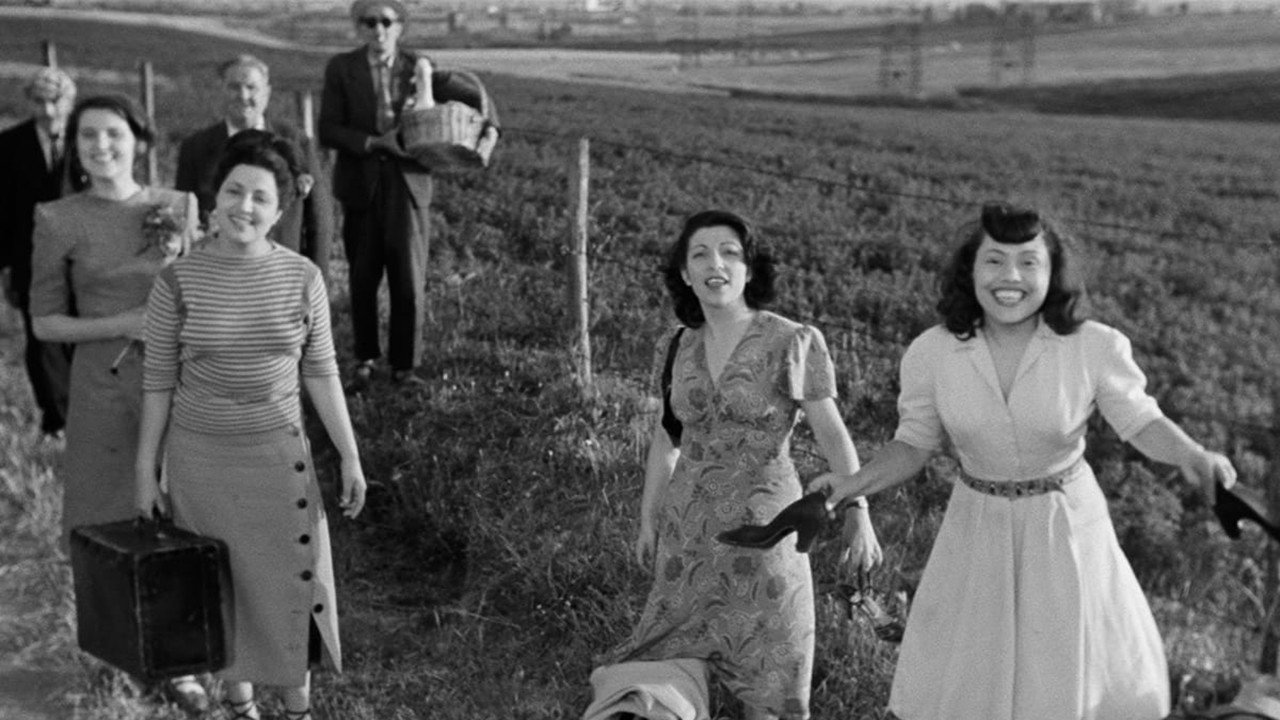 Luci del varietà scene photo
