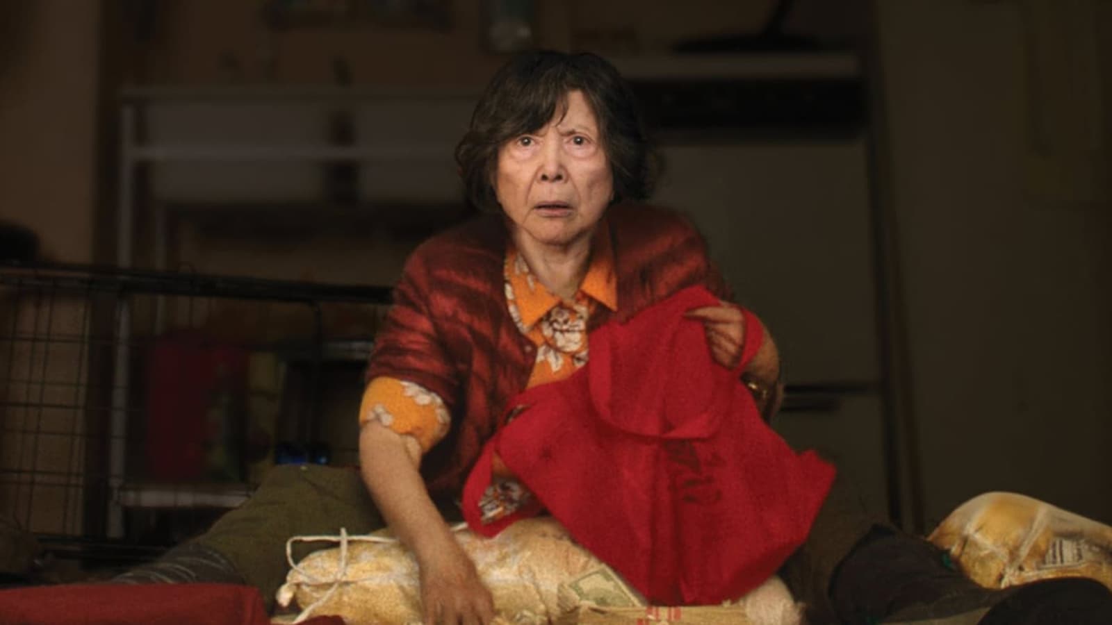 Lucky Grandma scene photo