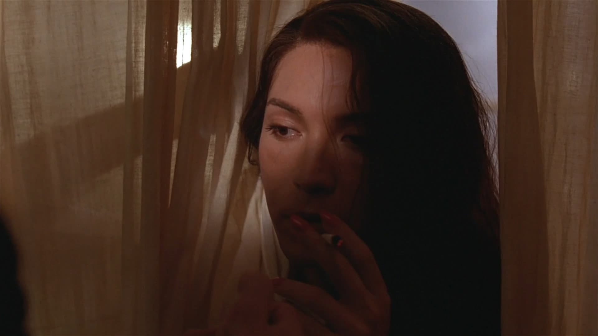 M. Butterfly scene photo