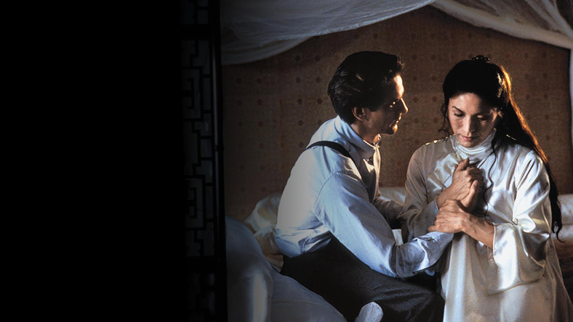 M. Butterfly scene photo