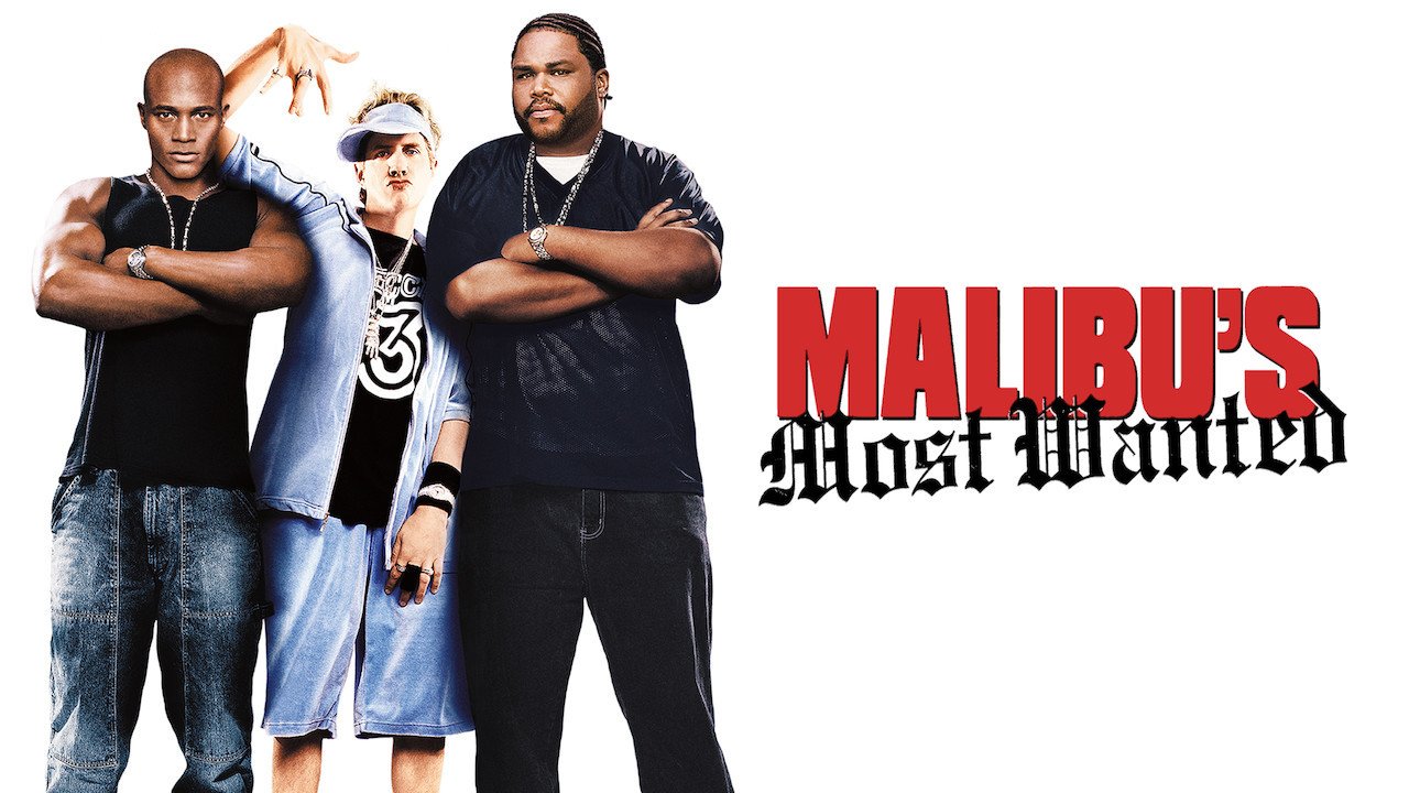 Malibu's Most Wanted scene photo