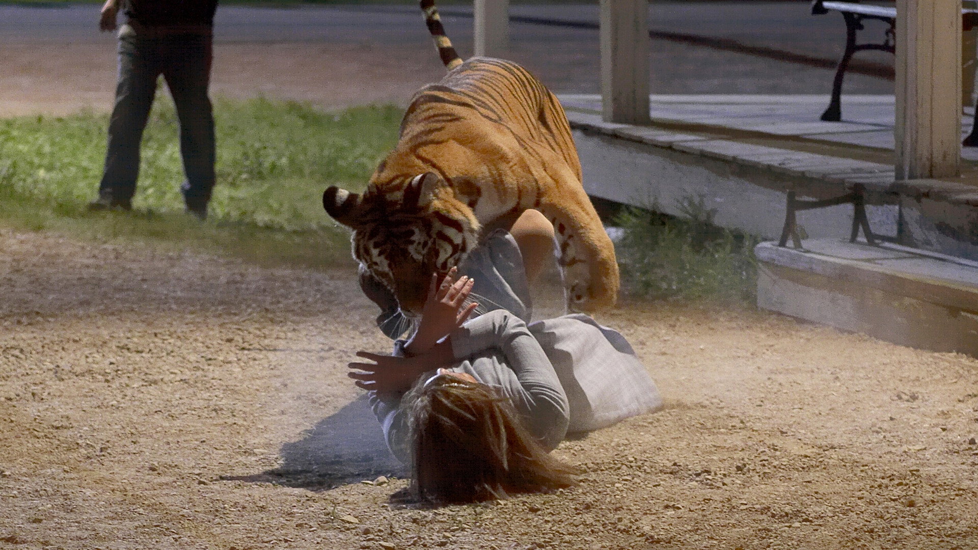 Maneater scene photo