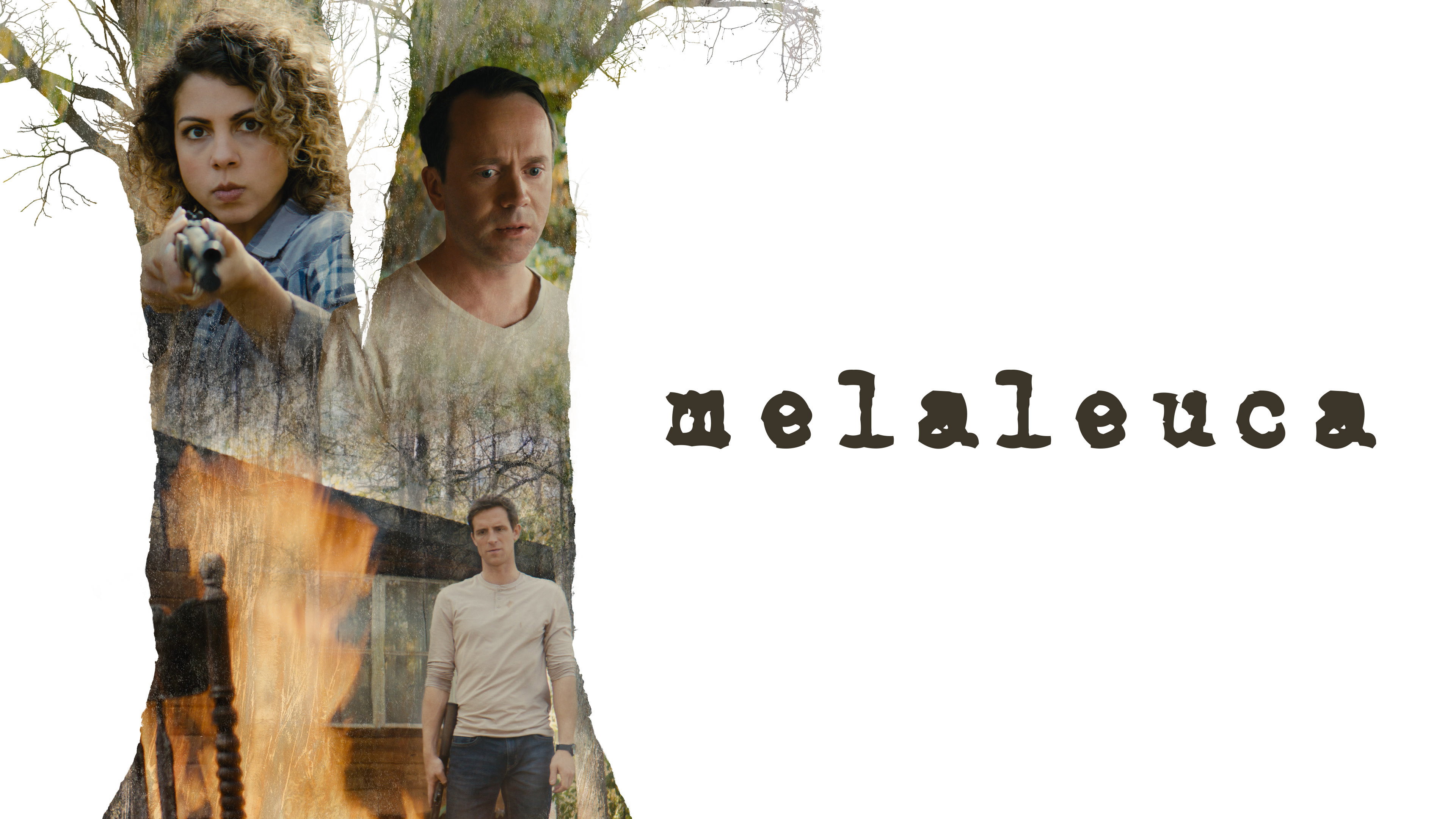 Melaleuca scene photo