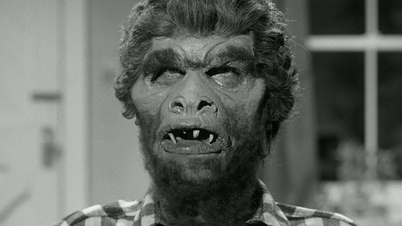 Monster on the Campus scene photo