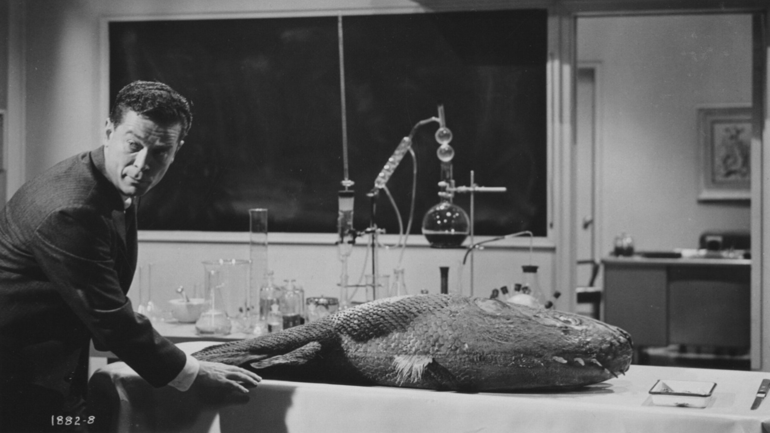 Monster on the Campus scene photo