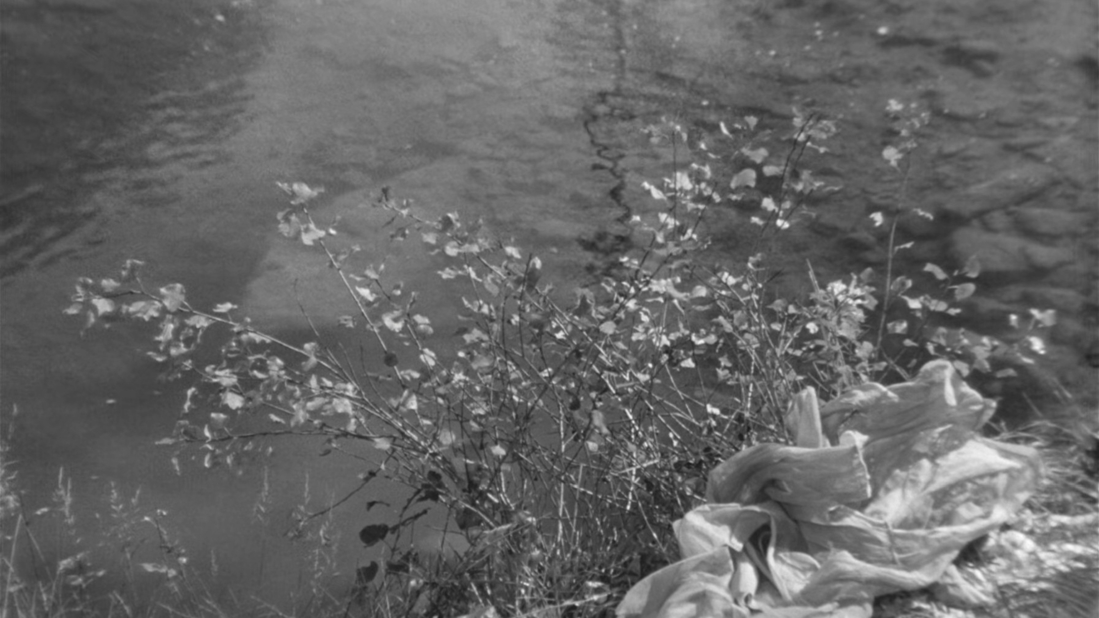 Mouchette scene photo