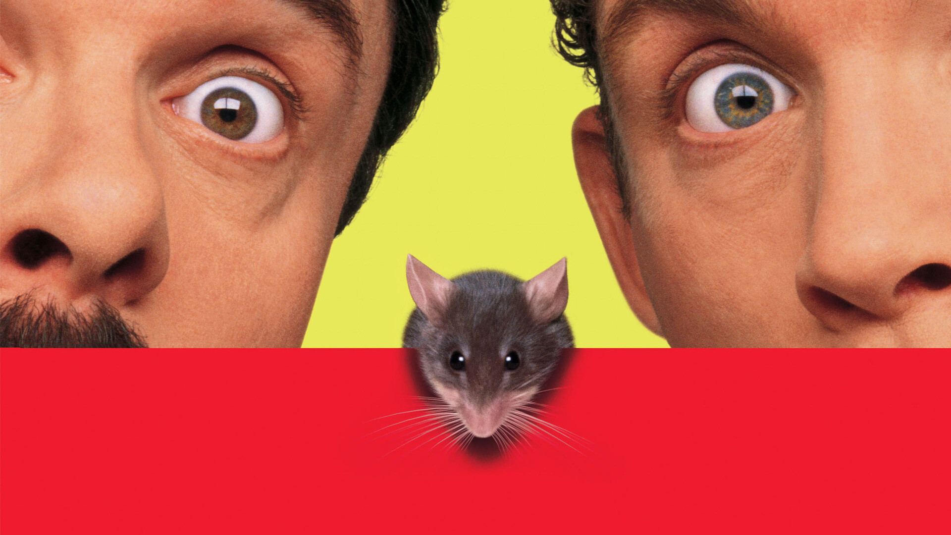 Mousehunt scene photo