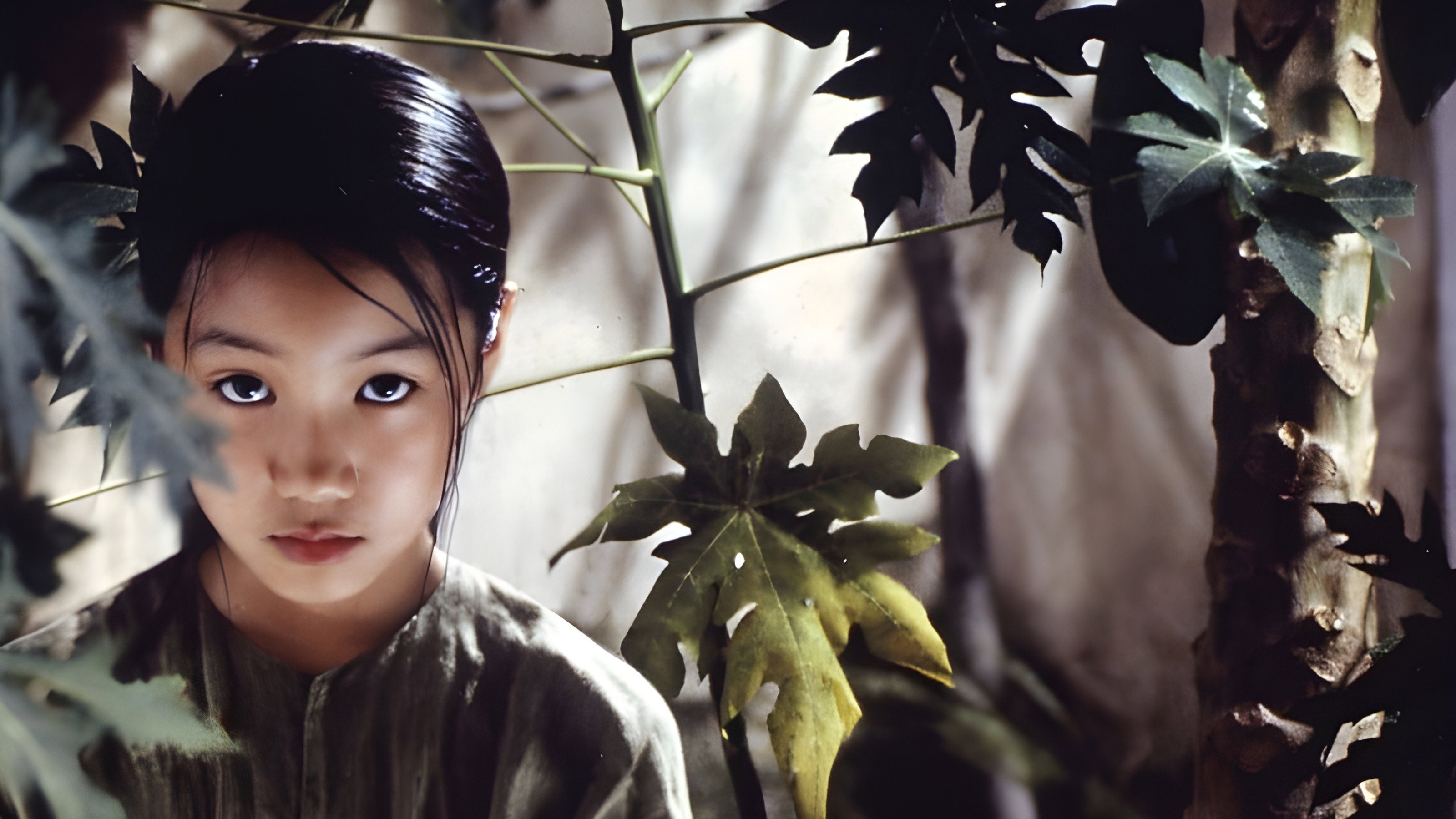 Mùi du du xanh scene photo