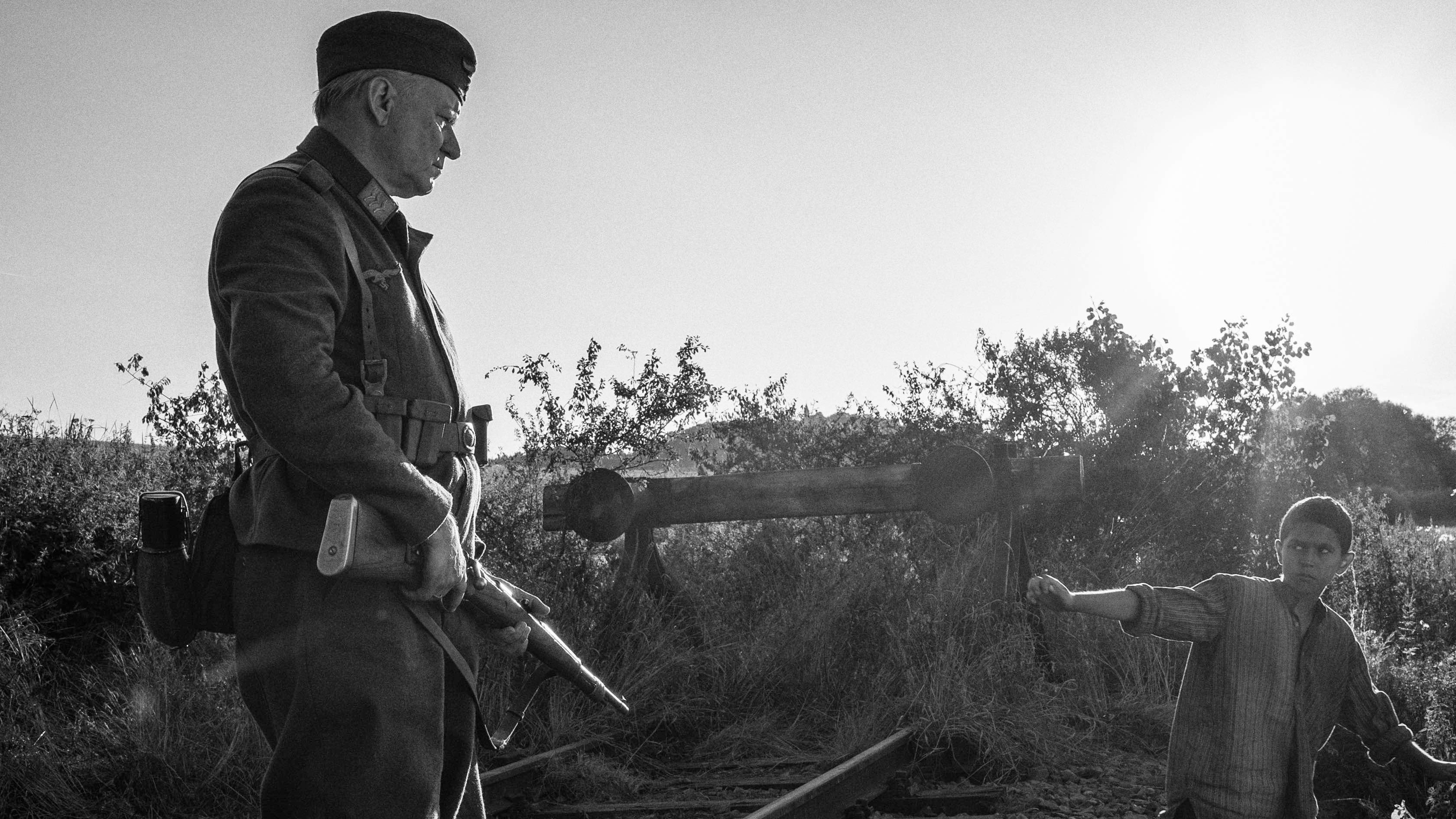 Nabarvené ptáce scene photo