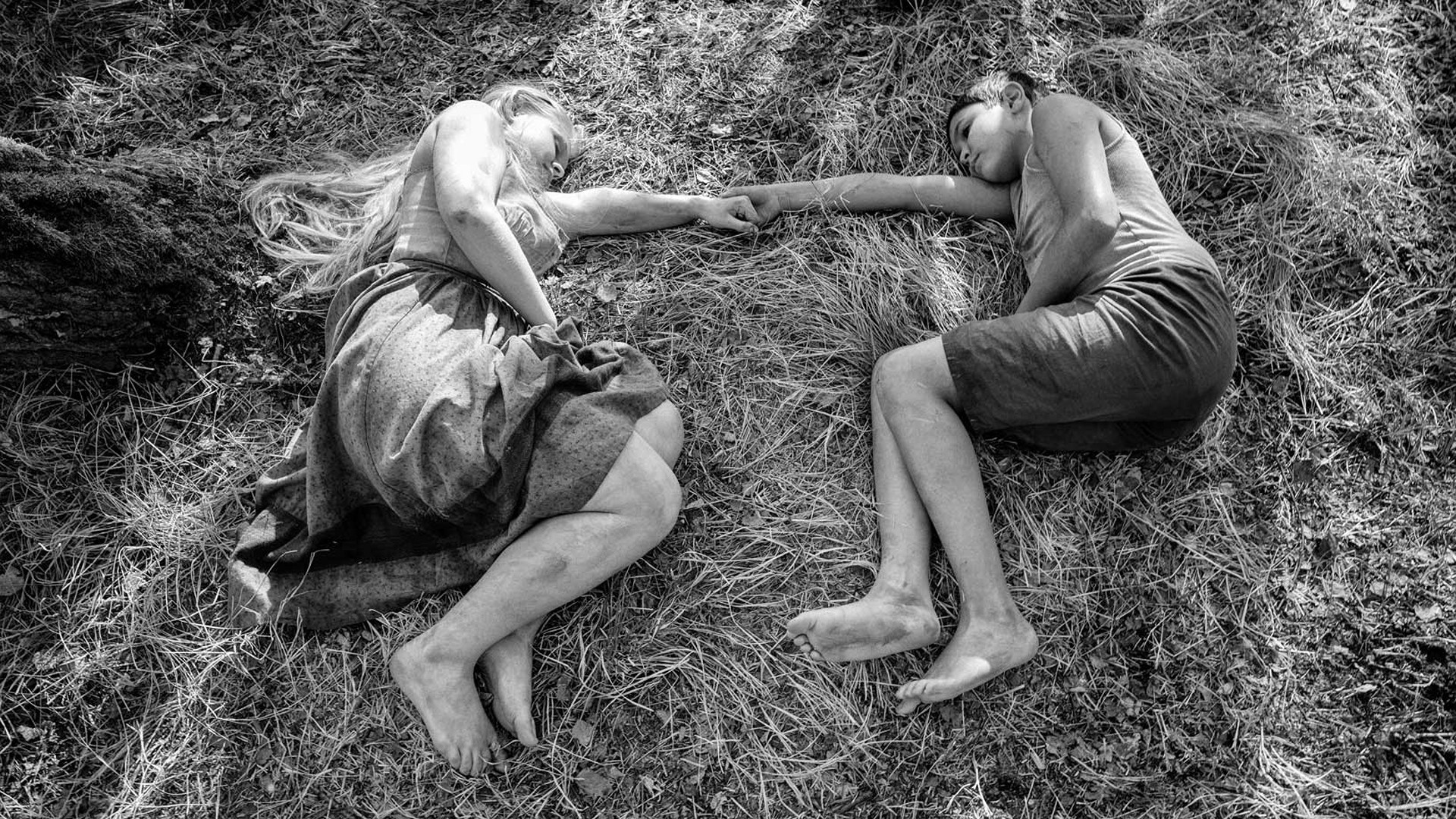 Nabarvené ptáce scene photo