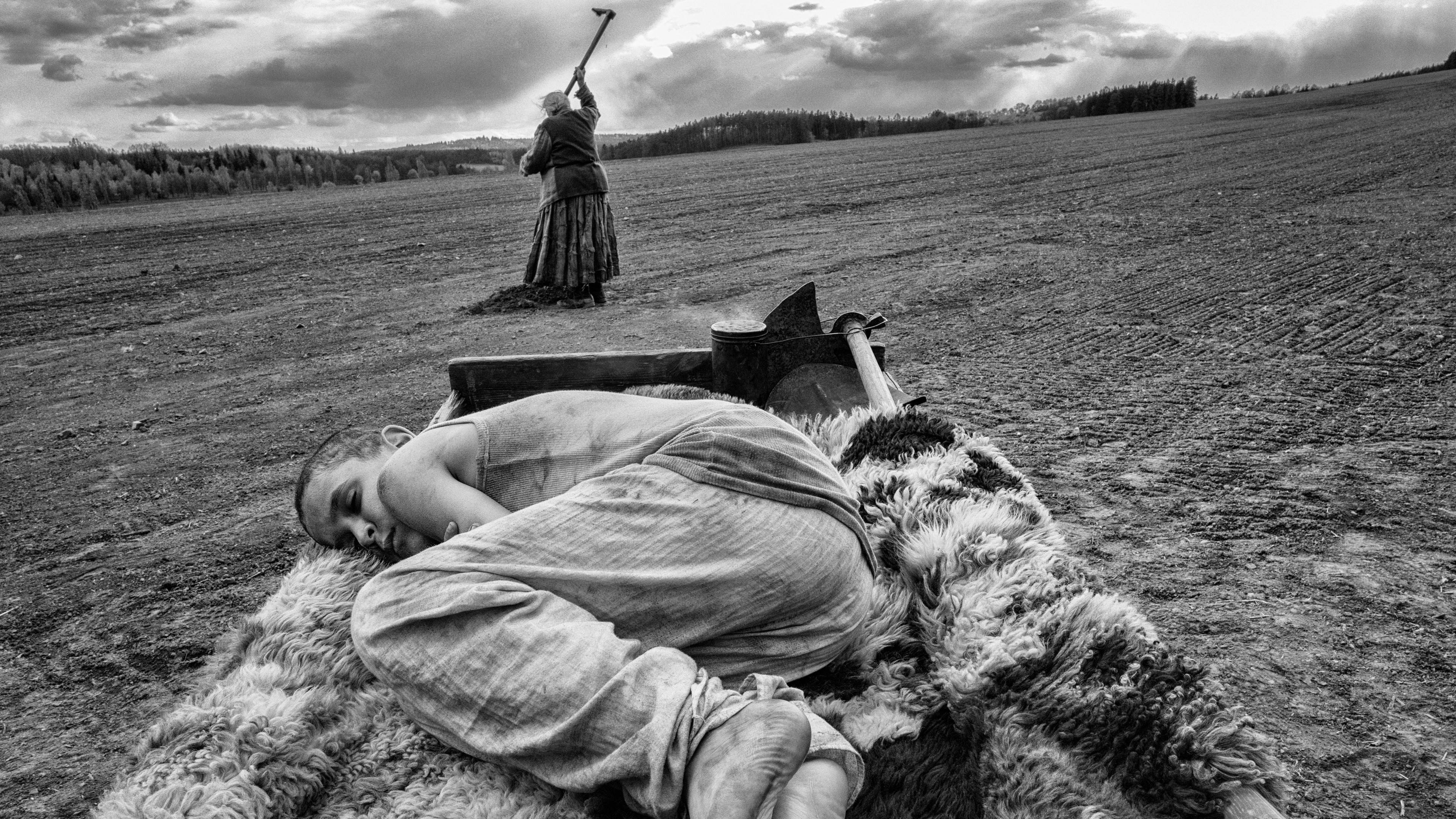 Nabarvené ptáce scene photo