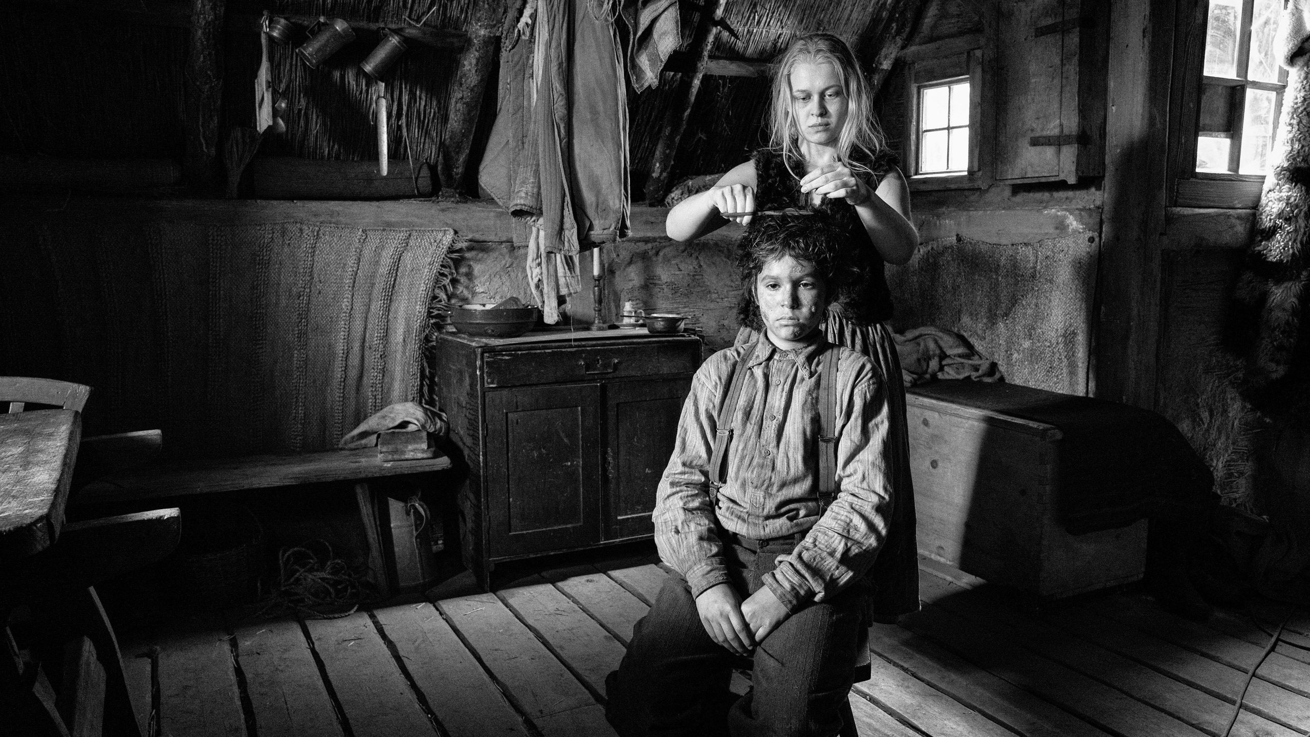 Nabarvené ptáce scene photo