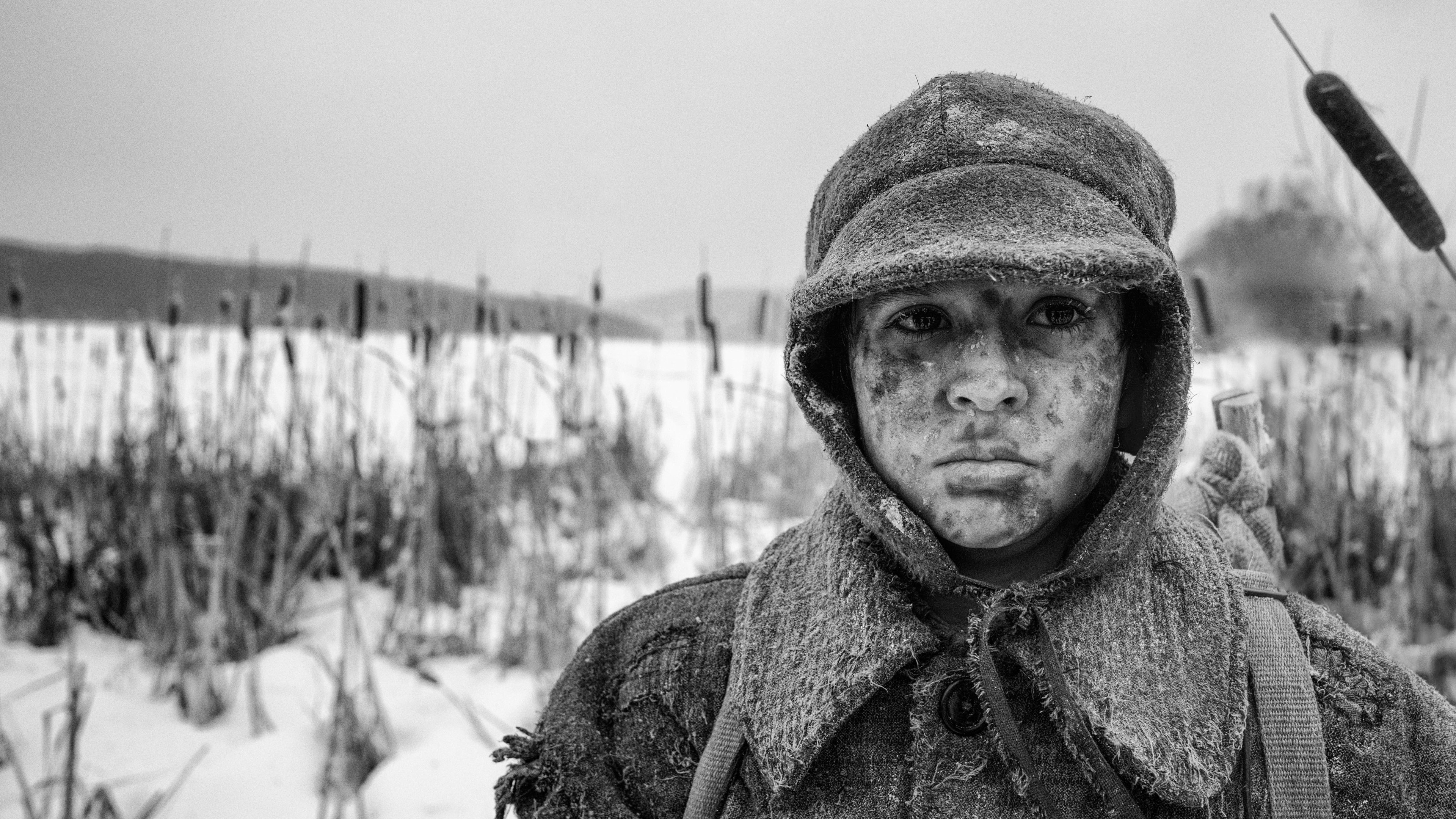 Nabarvené ptáce scene photo