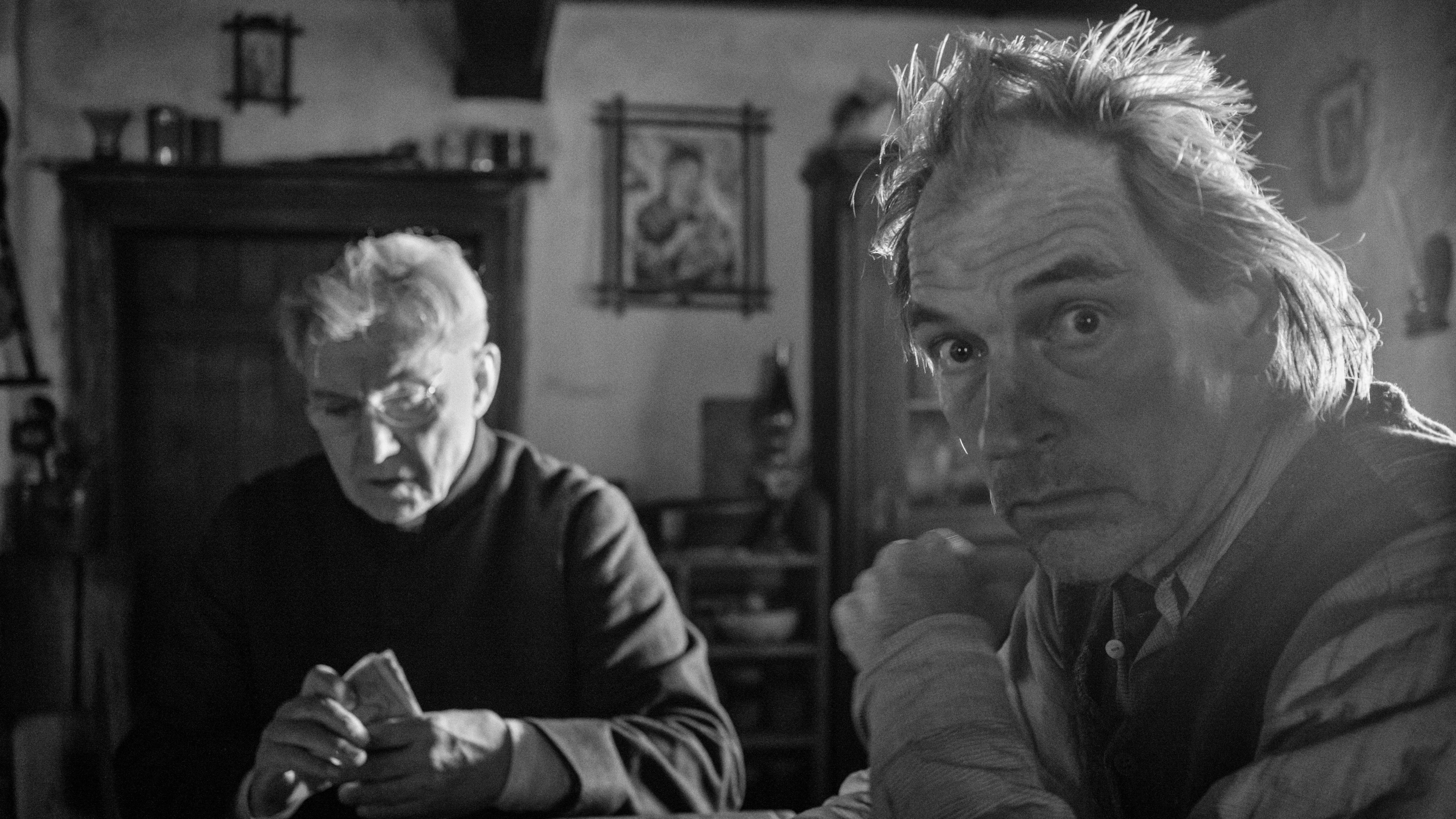 Nabarvené ptáce scene photo