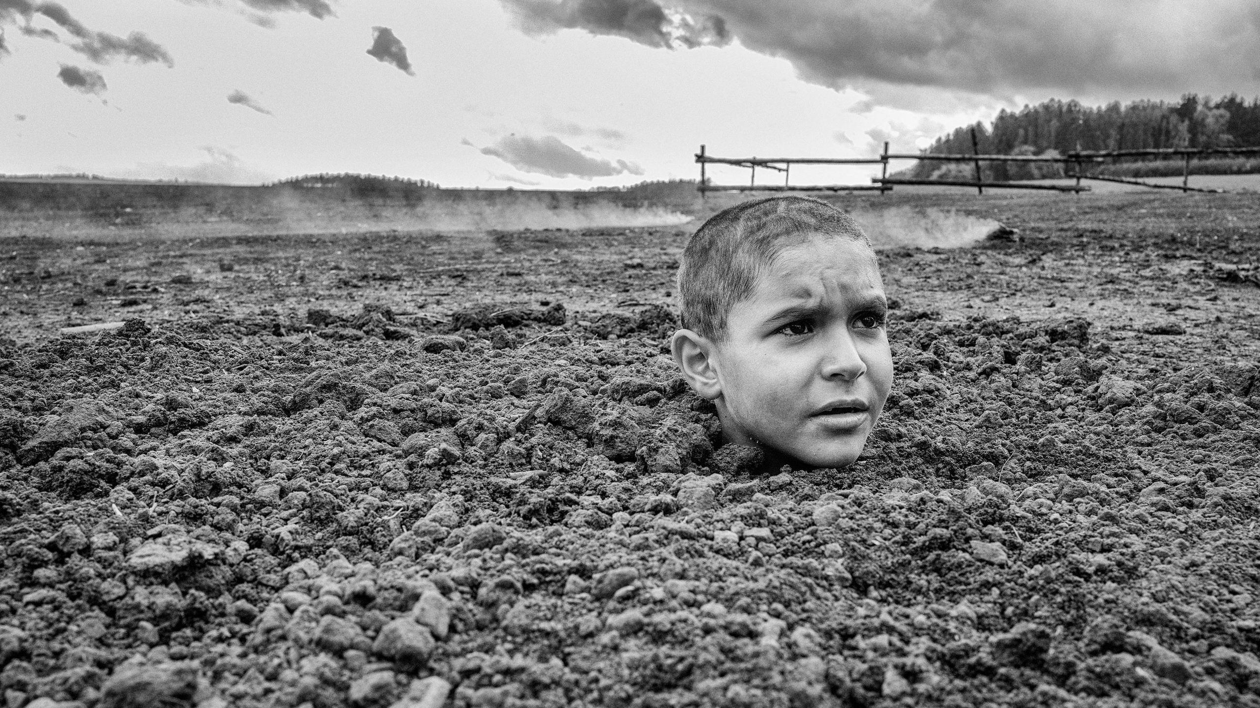 Nabarvené ptáce scene photo