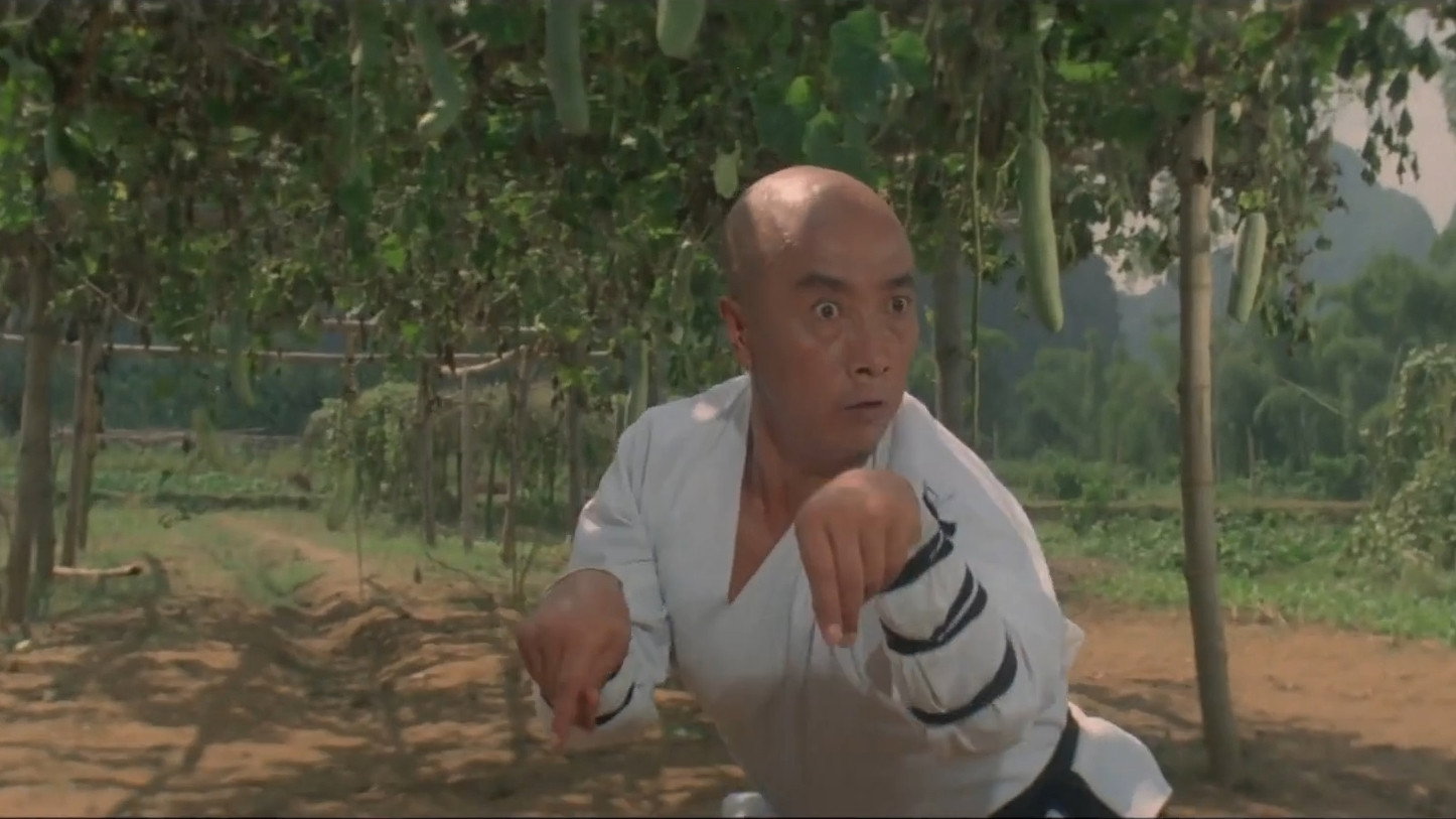 Nan bei Shao Lin scene photo