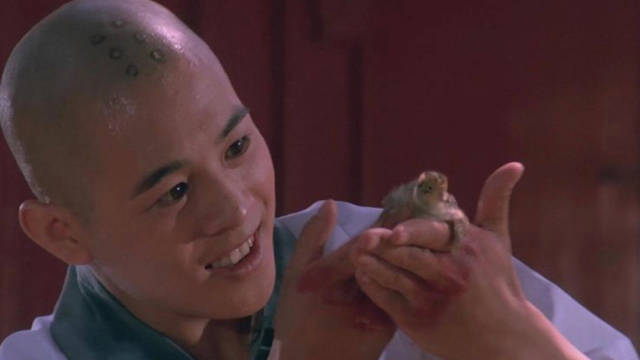 Nan bei Shao Lin scene photo